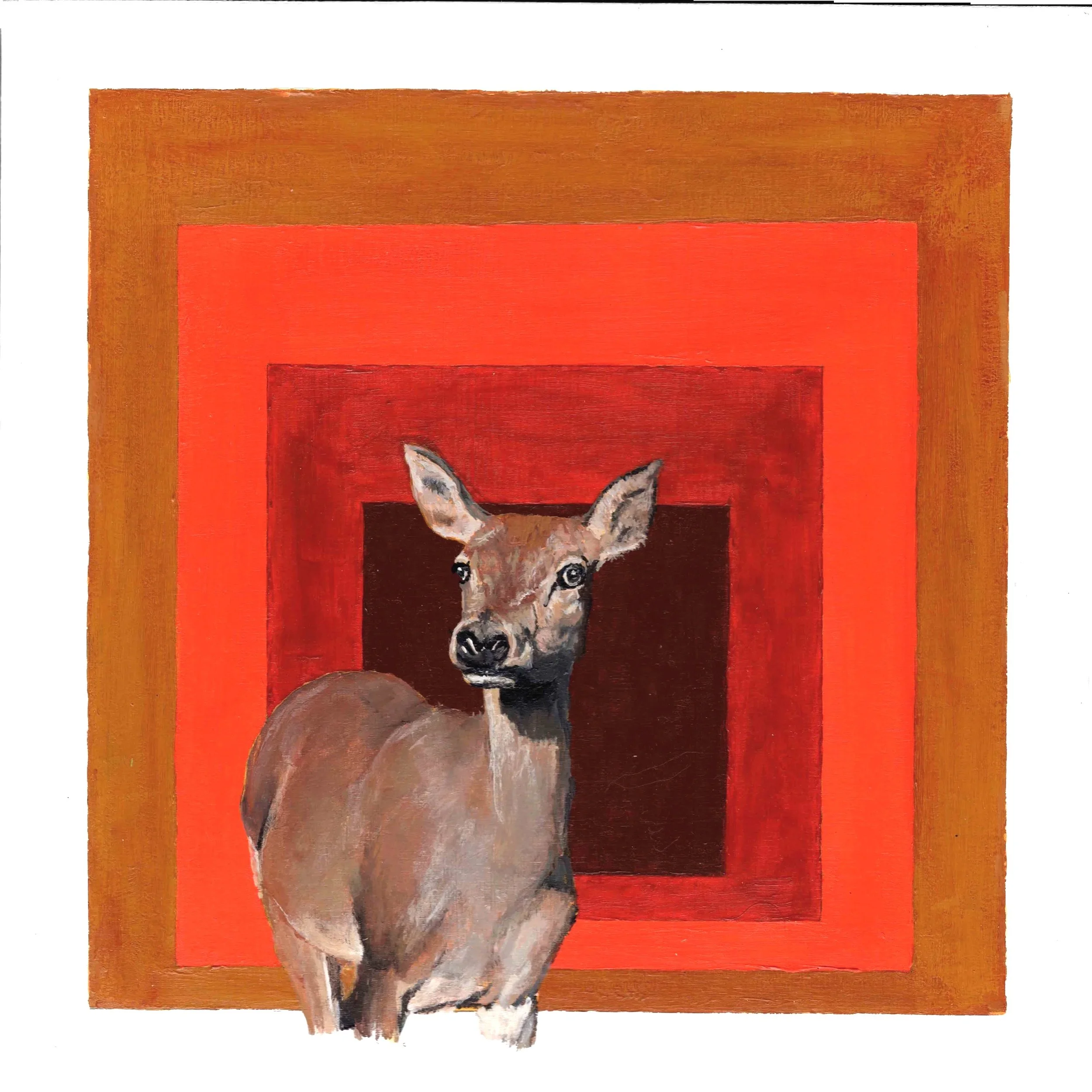 Hind (Homage to Albers) (12"x12") acrylic on wood panel