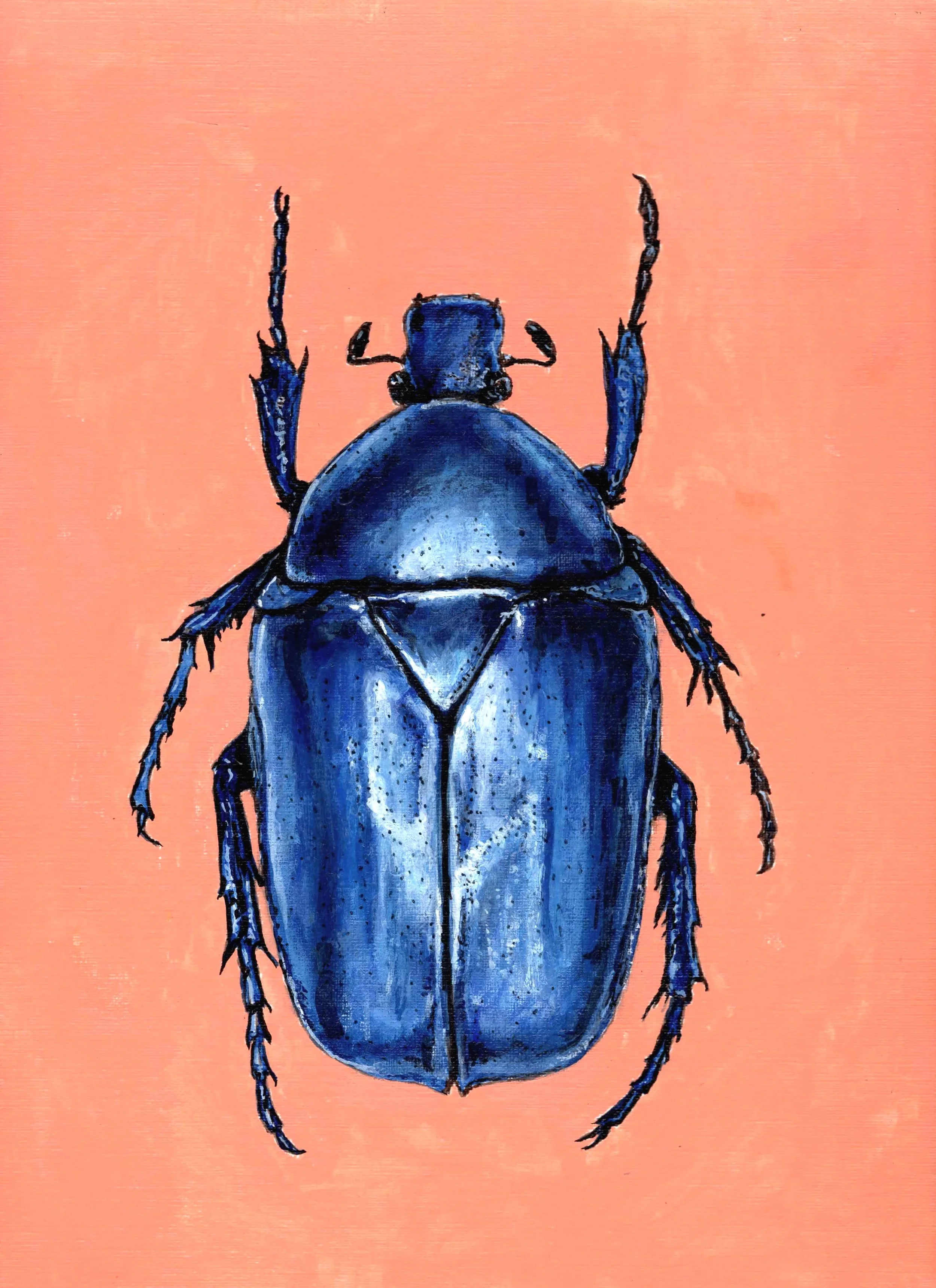 Blue Scarab (9"x12") acrylic gouache on artboard
