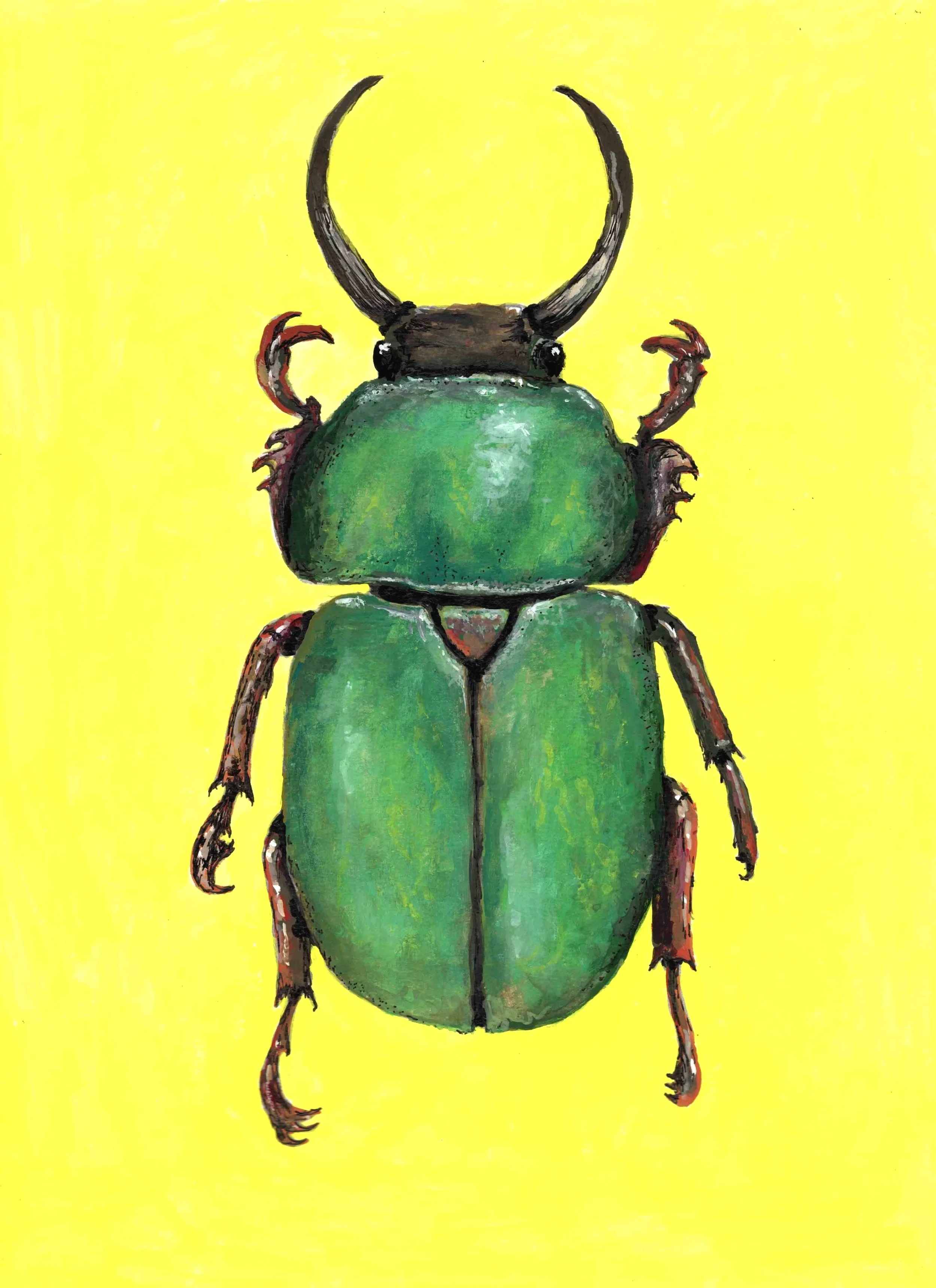 Green Beetle (9"x12") acrylic gouache on artboard