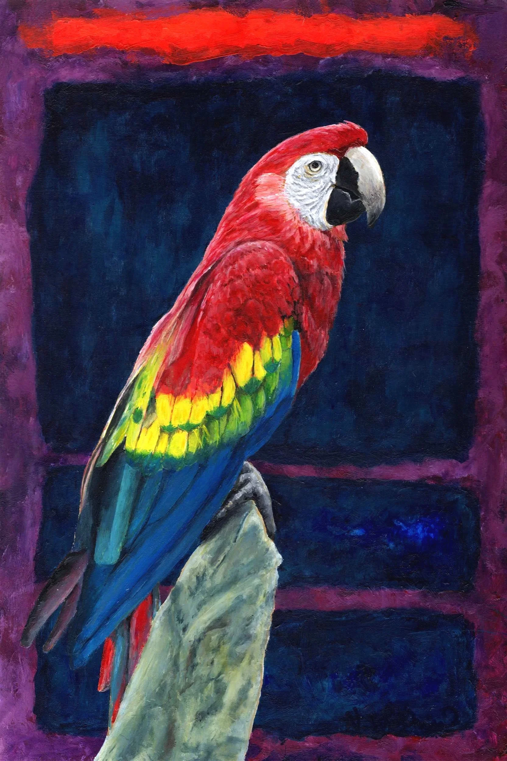 Scarlet Macaw (16"x24") acrylic on wood panel