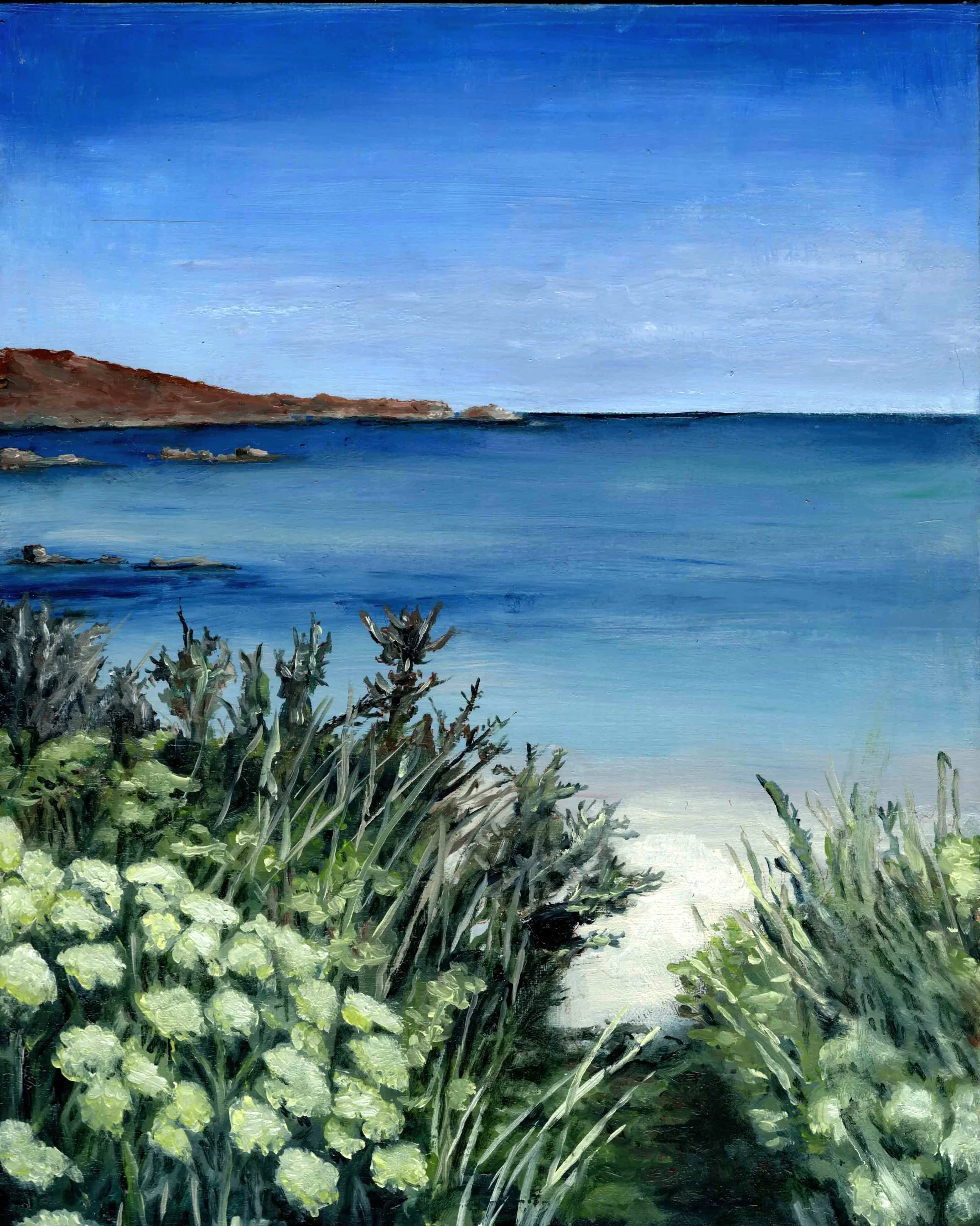 Scilly Isles - Wildflowers (8"x10") oil on panel