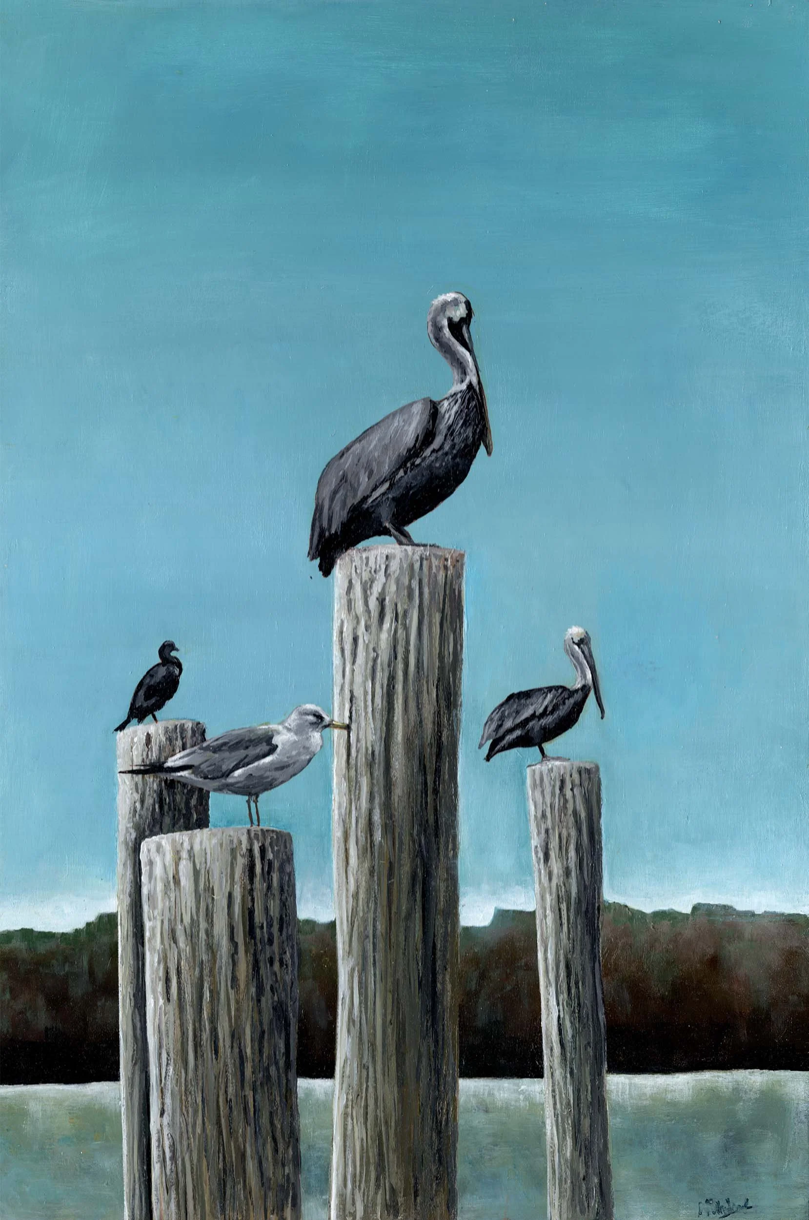 Mayport Pelicans (16"x24") acrylic on wood panel