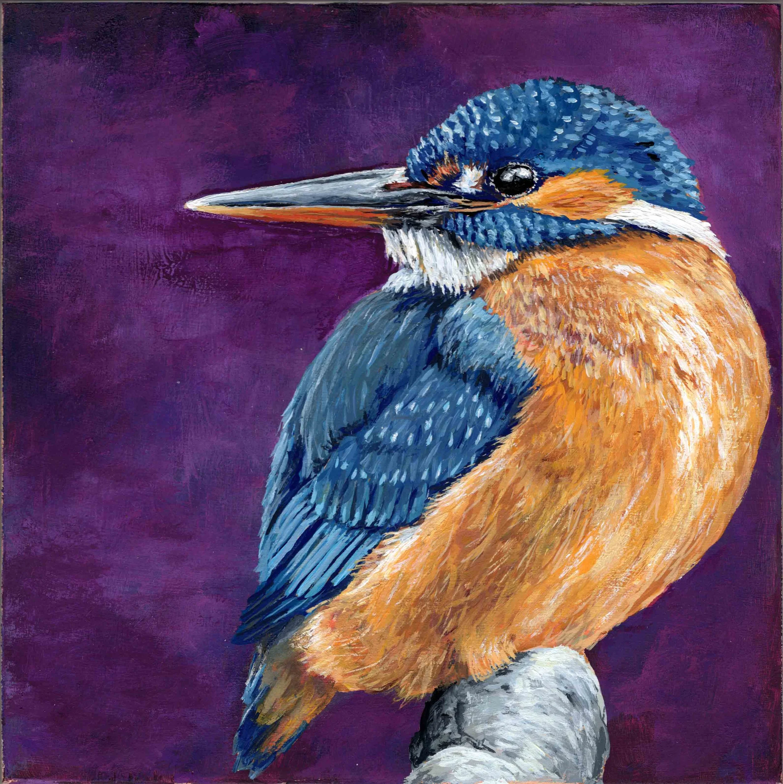 Kingfisher on Purple (8"x8") acrylic on wood panel