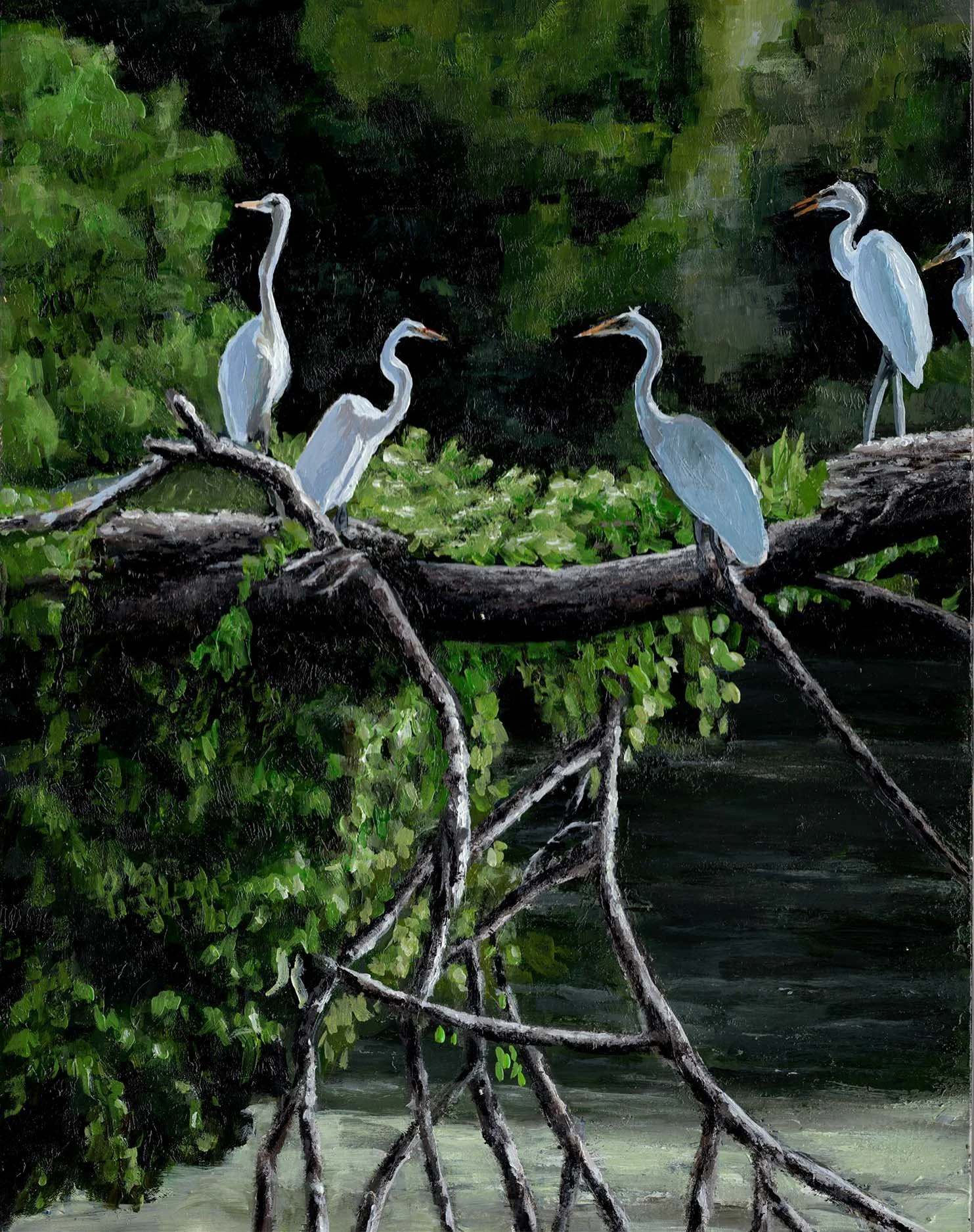 Egrets in the Marsh (11"x14") oil on panel