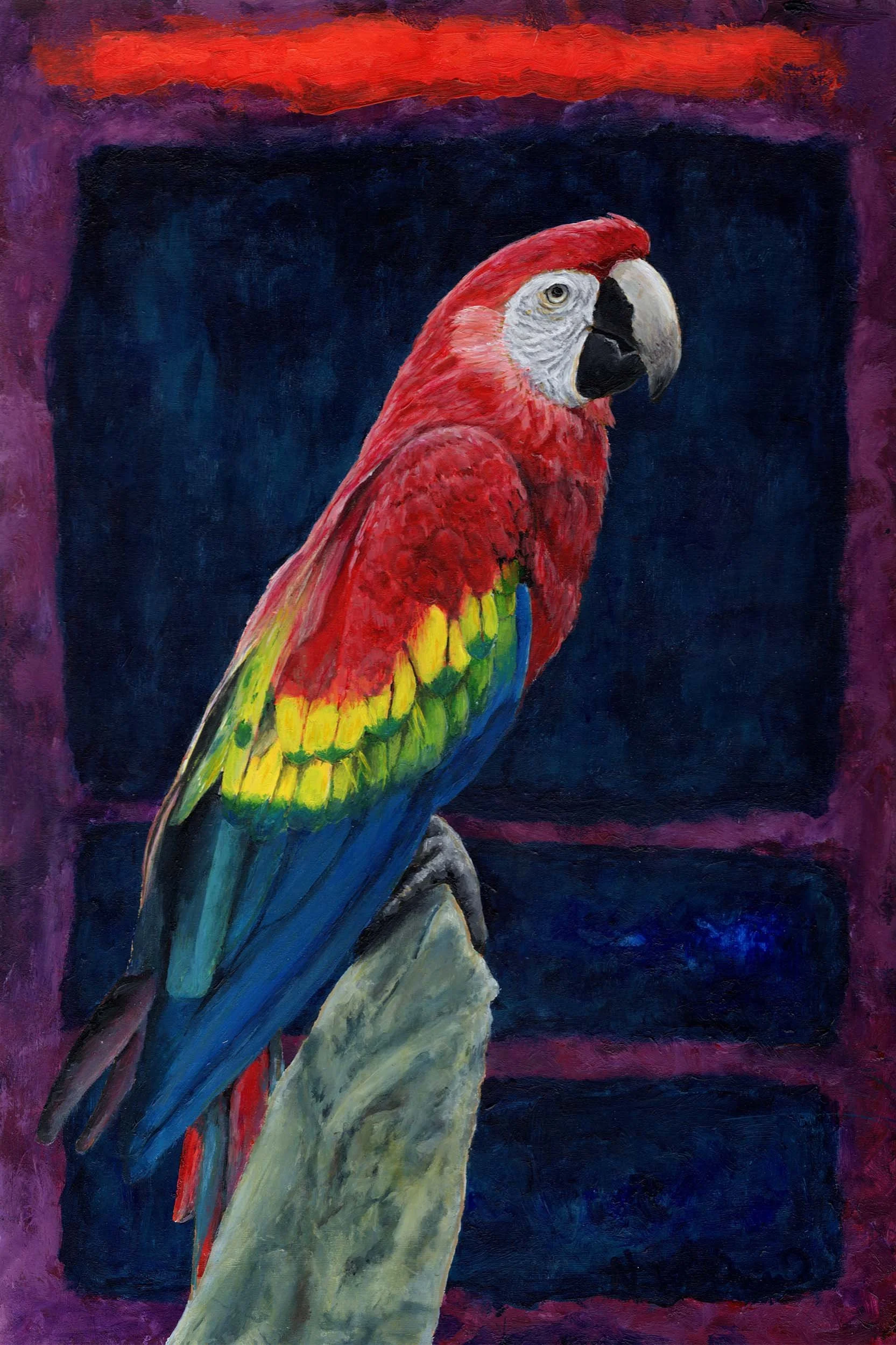 Scarlet Macaw (16"x24") acrylic on wood panel