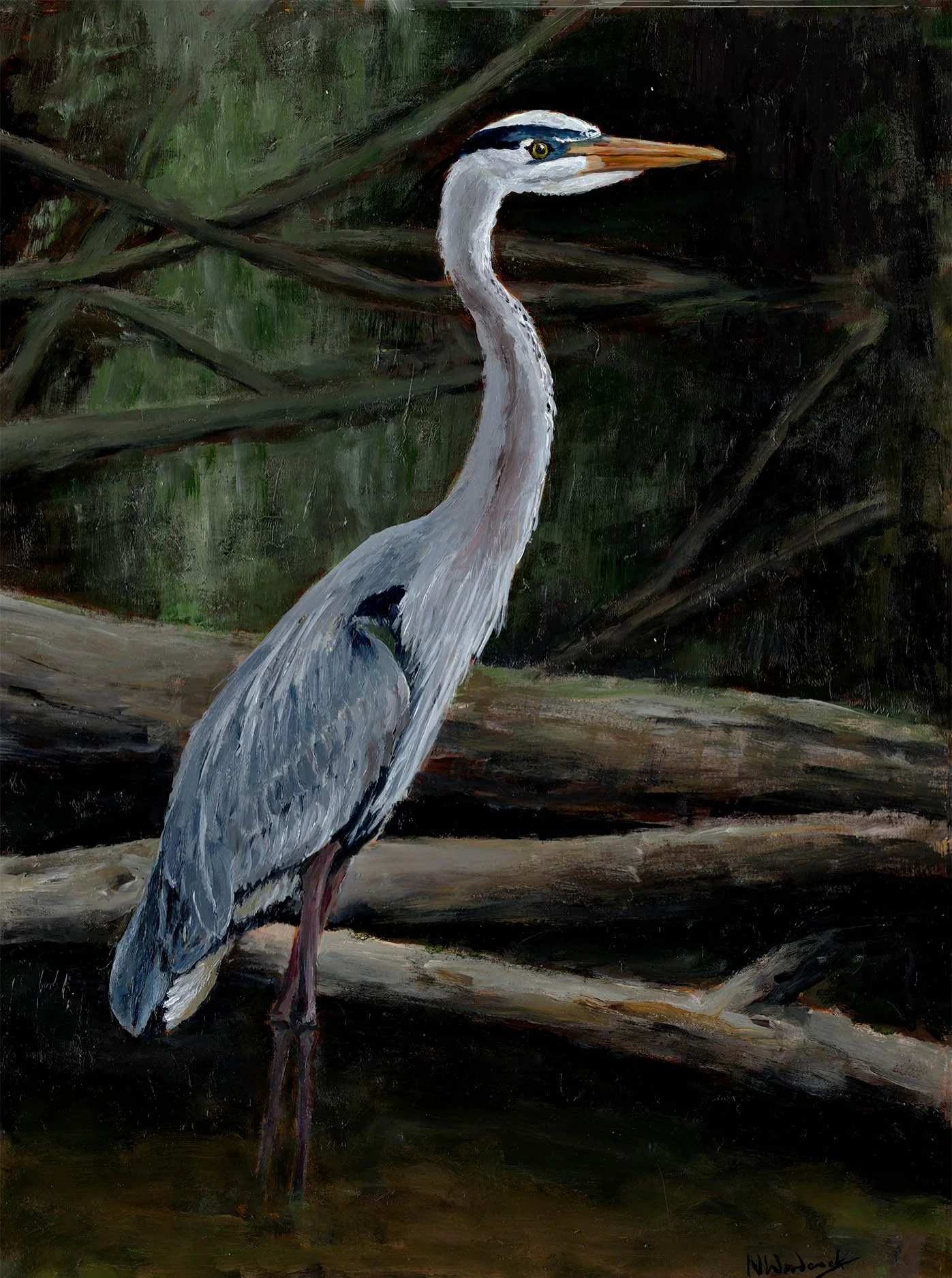 Great Blue Heron (18"x24") acrylic on panel