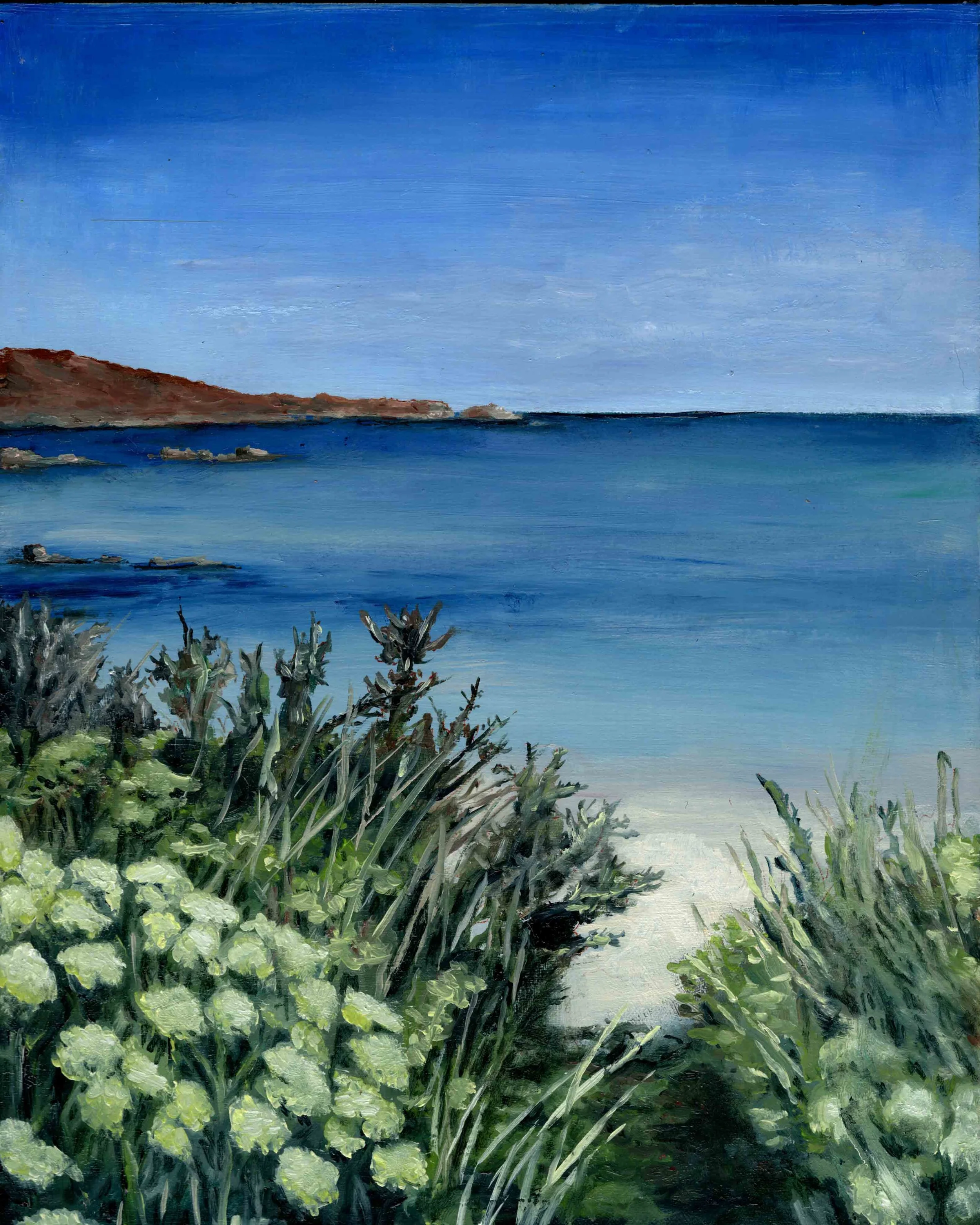 Wild Flowers, Scilly Isles (8"x10") oil on panel