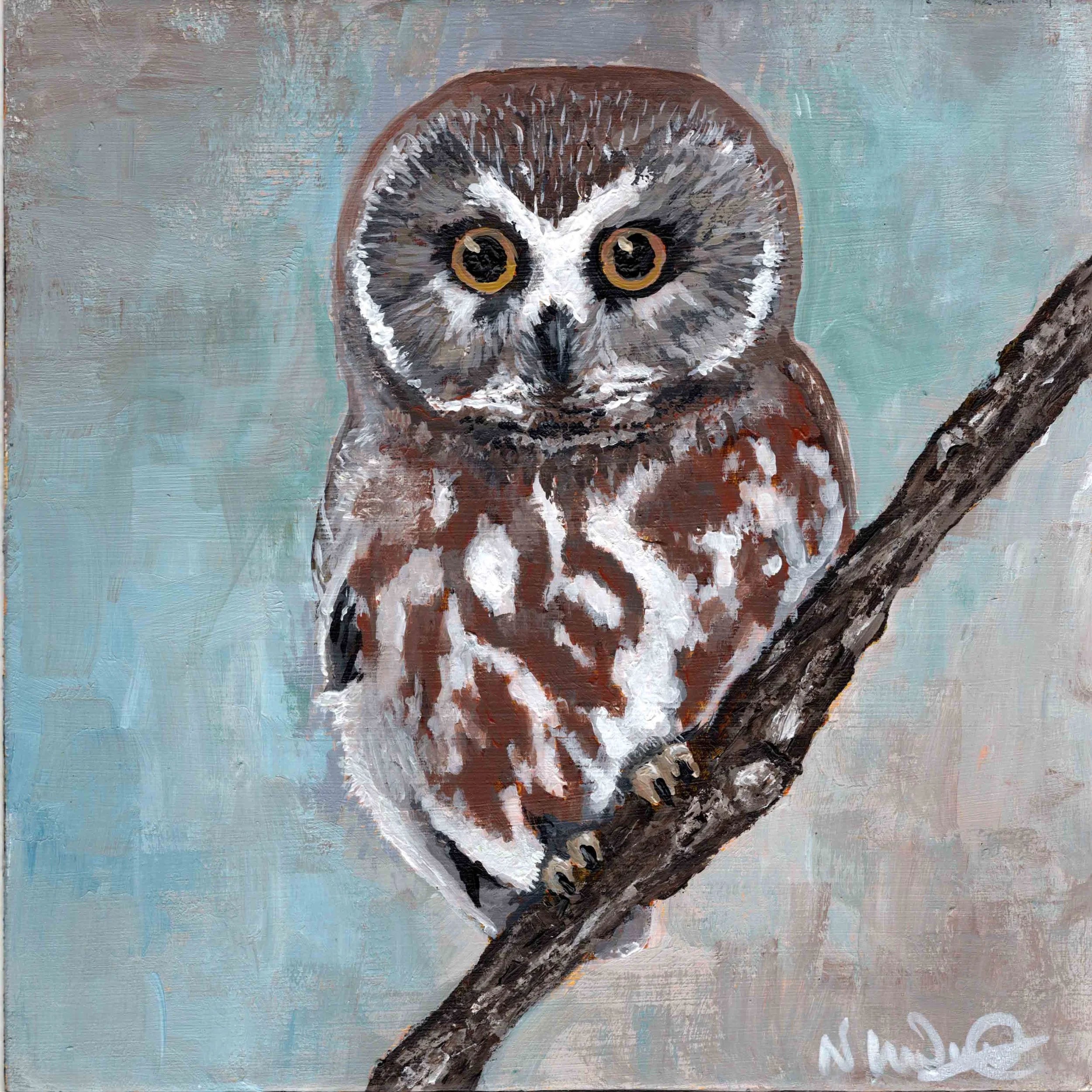 Little Brown Owl (8"x8") acrylic on wood panel