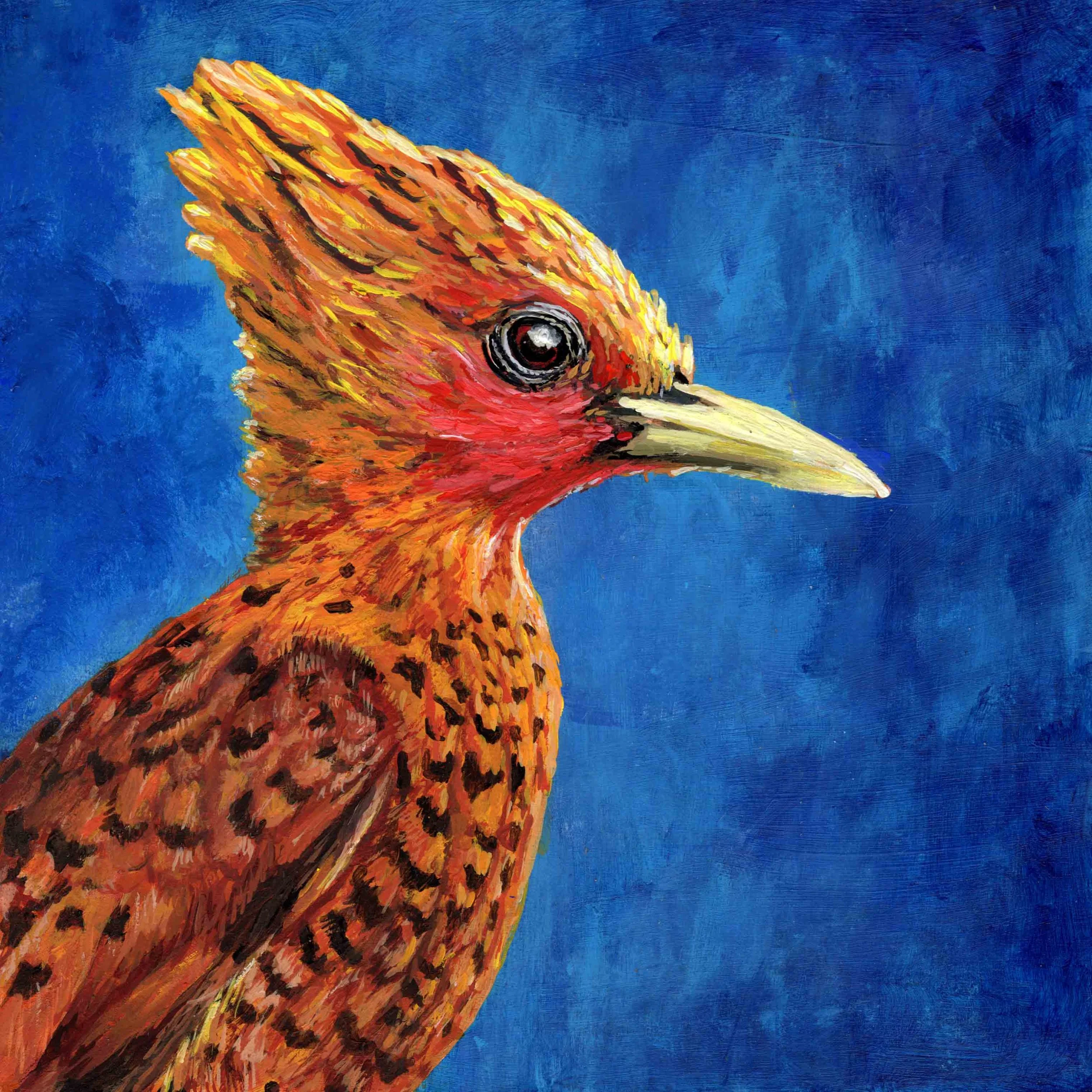Chestnut Woodpecker (8"x8") acrylic on wood panel