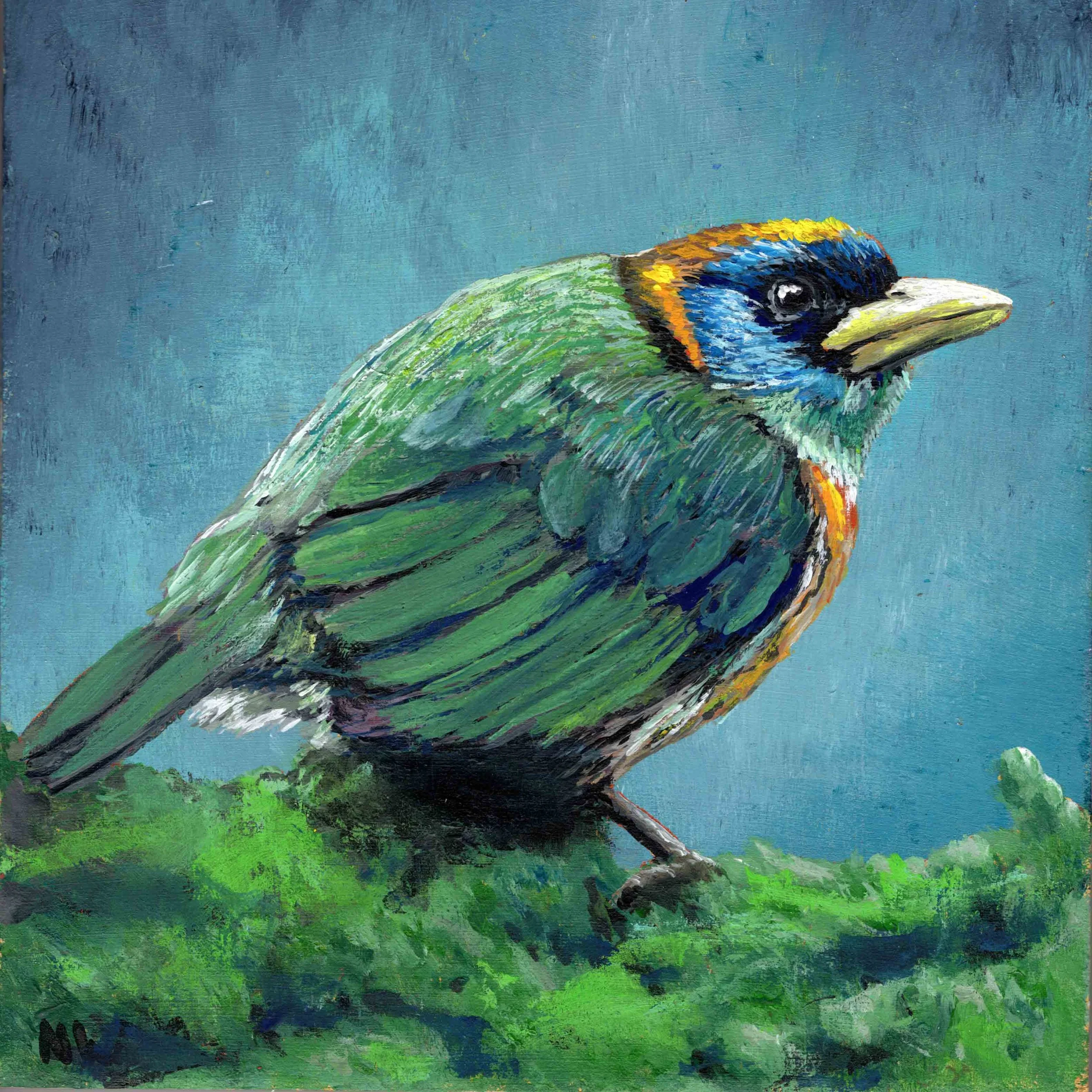 Female Red-Headed Barbet (8"x8") acrylic on wood panel