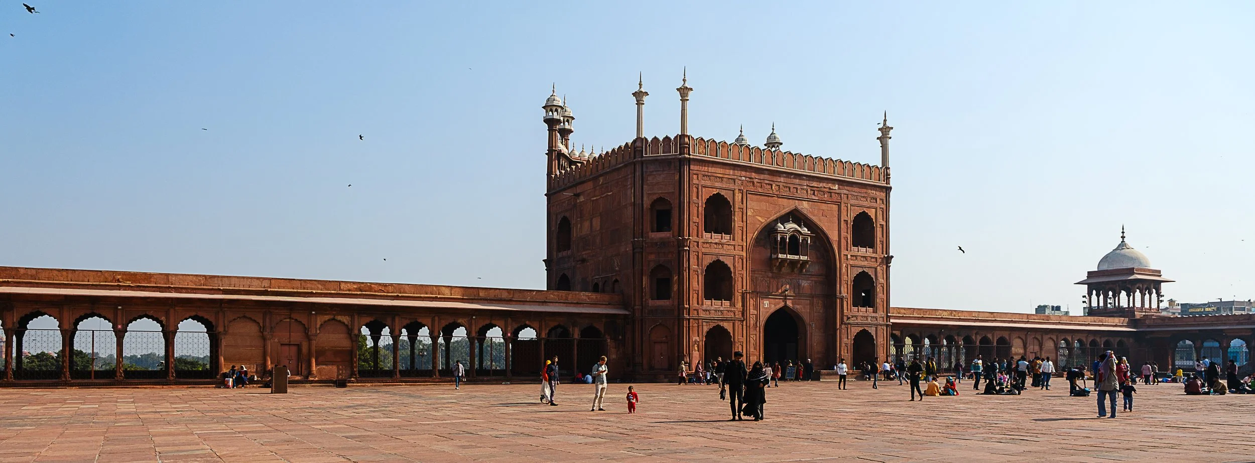 Delhi chandni chok (1 of 1)-29.jpg