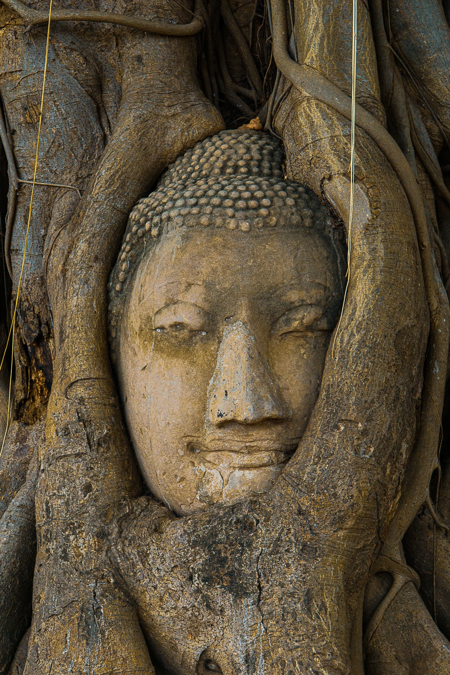 thailand buddha-1-4.jpg