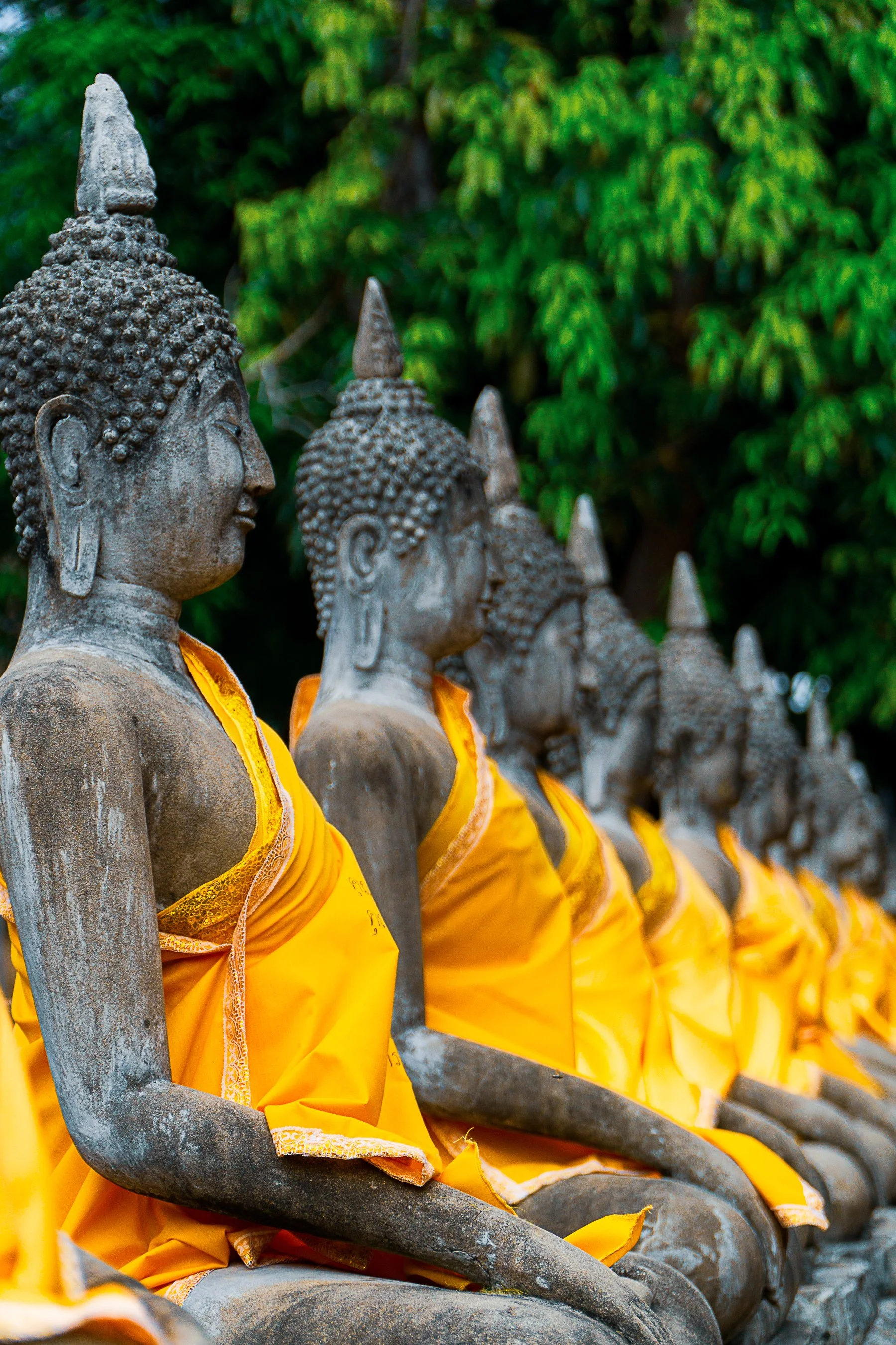 thailand buddha-1-6.jpg