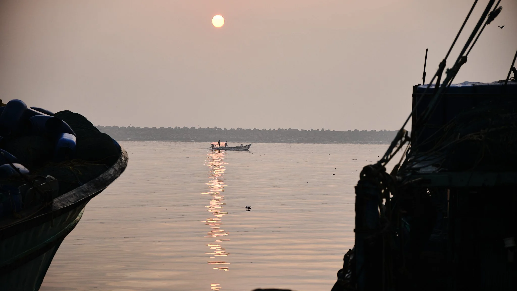 chennai fish market 38.jpg