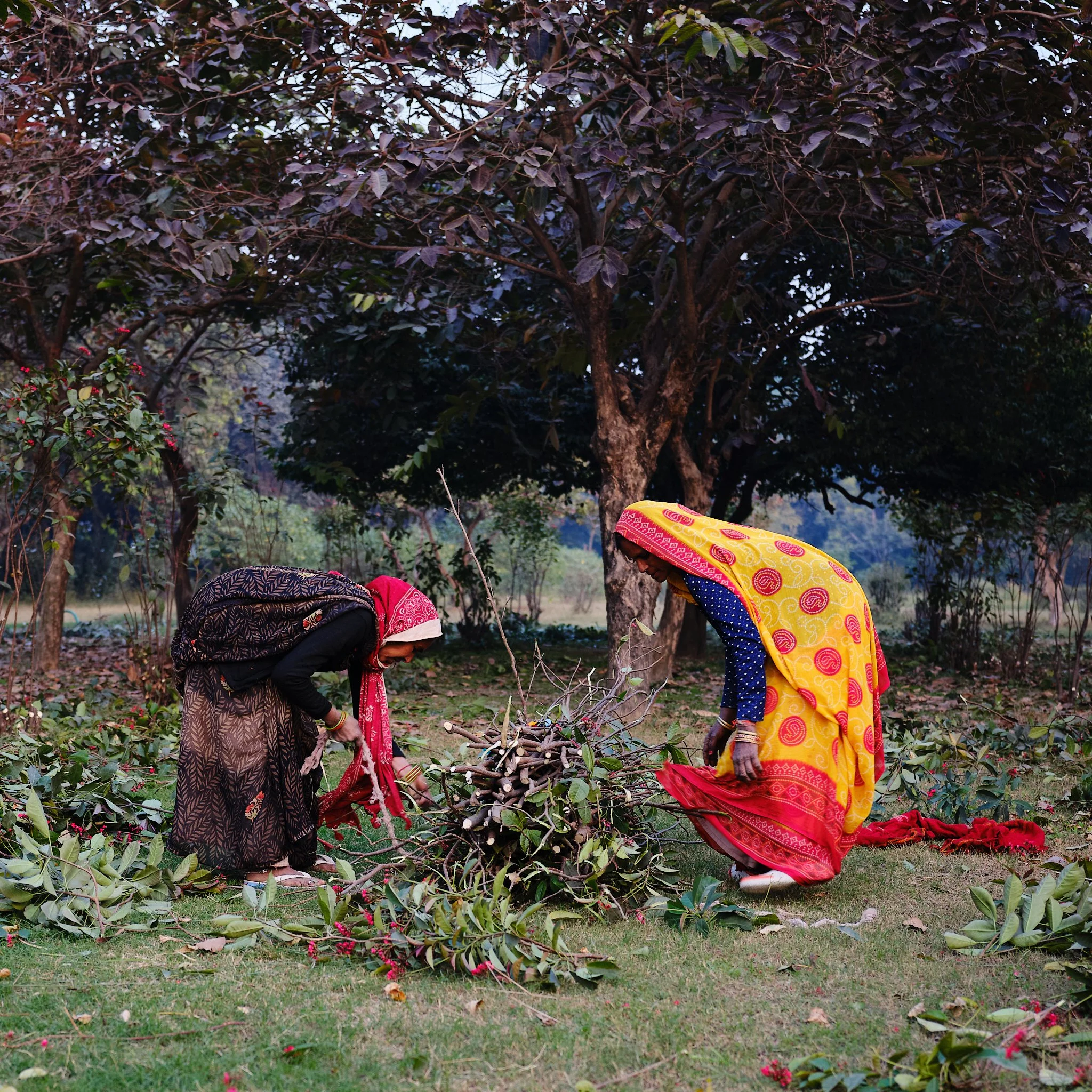 agra 16th 8.jpg