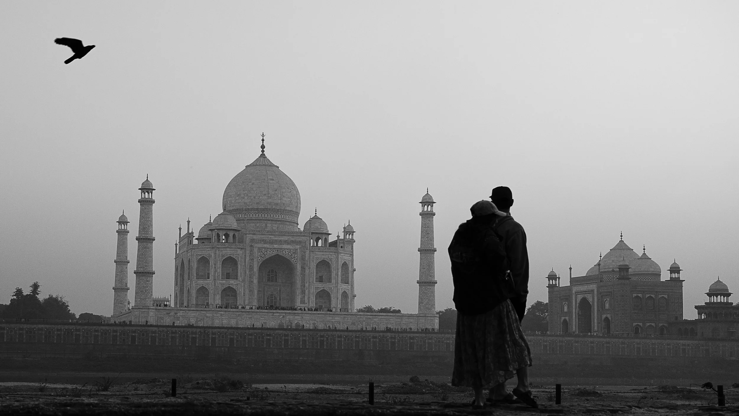 Agra Website -1-15.jpg