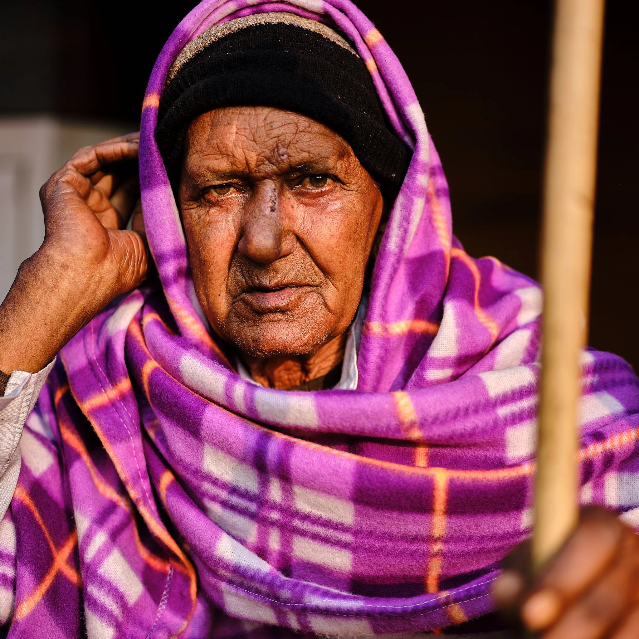 India Jaipur 1 low res 1.jpg