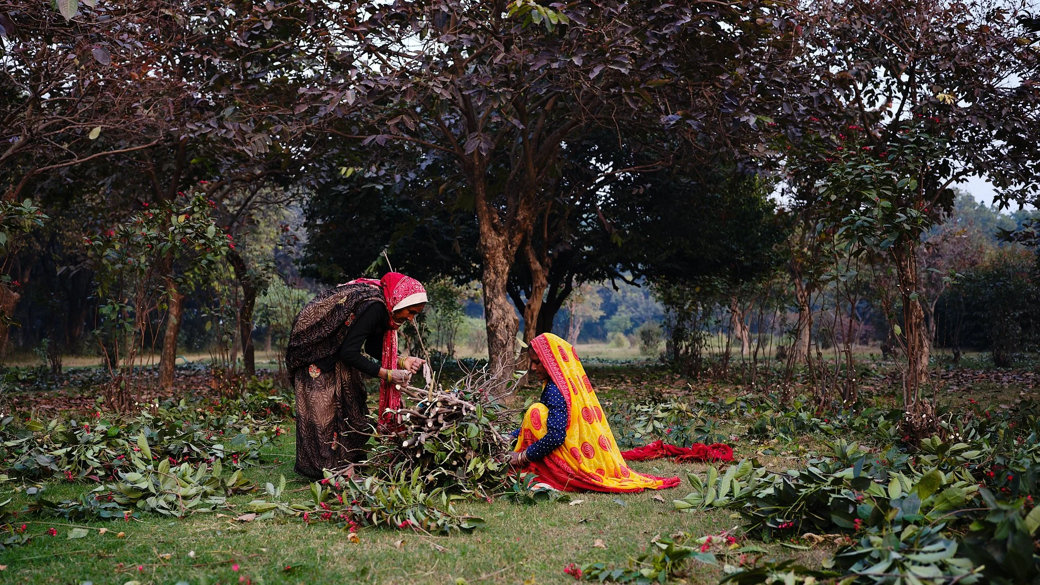 agra 16th 7.jpg