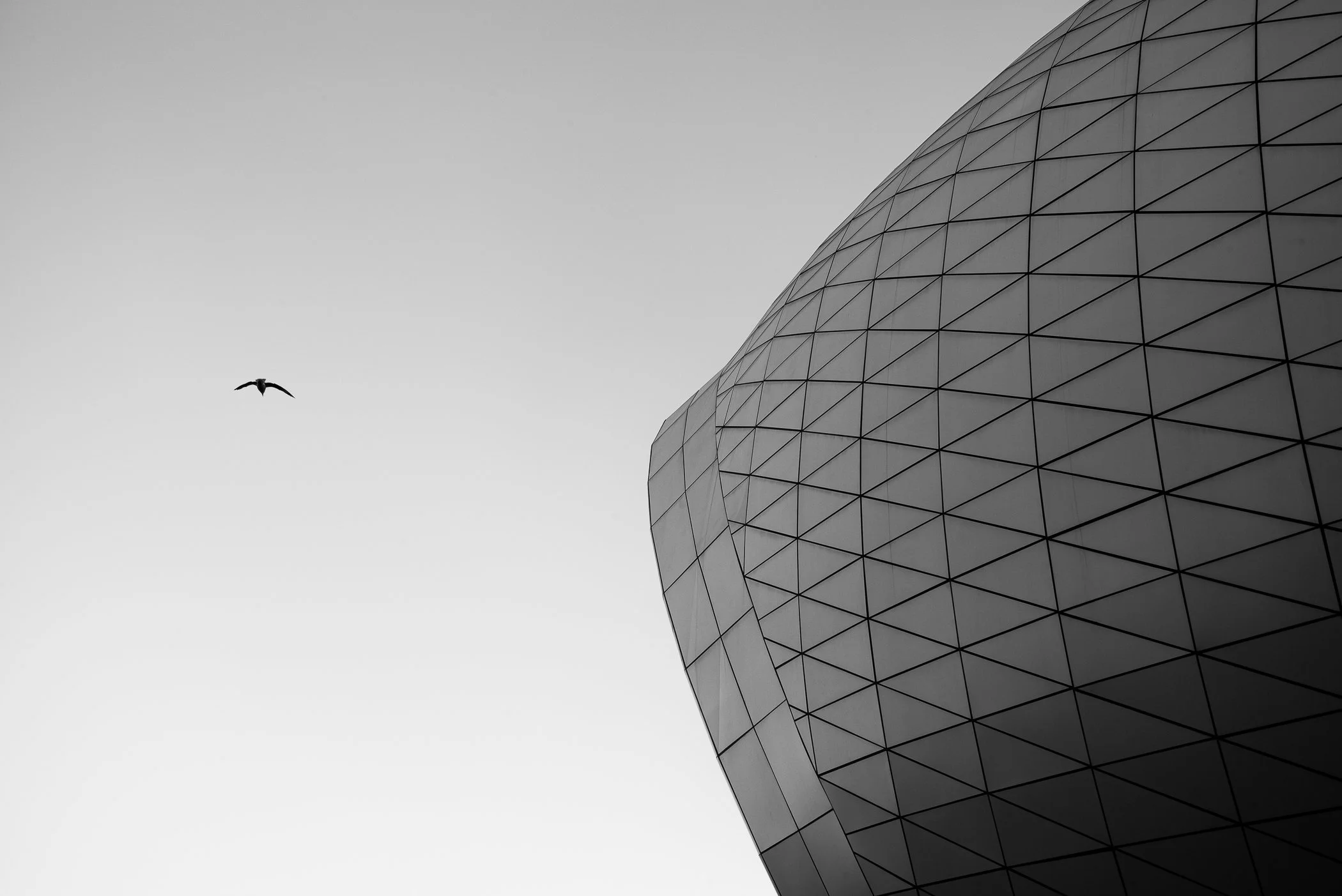 A black and white photo of a modern architectural building with a rounded, grid-patterned exterior and a bird flying in the clear sky.