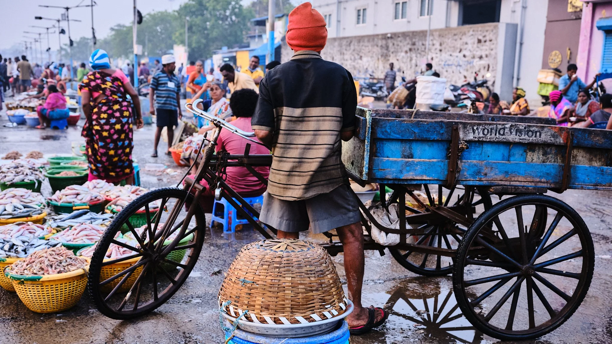 chennai fish market 11.jpg