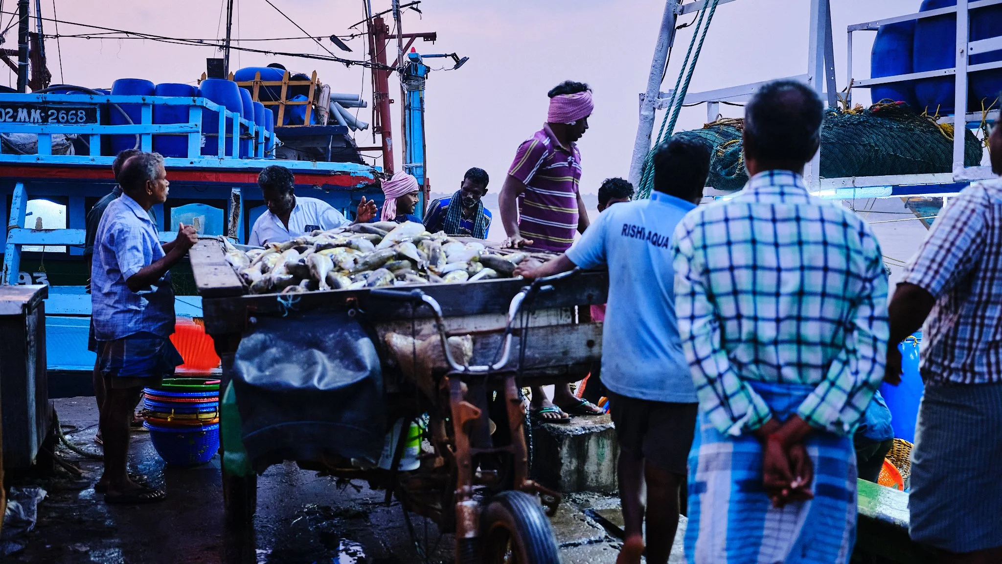 chennai fish market 28.jpg