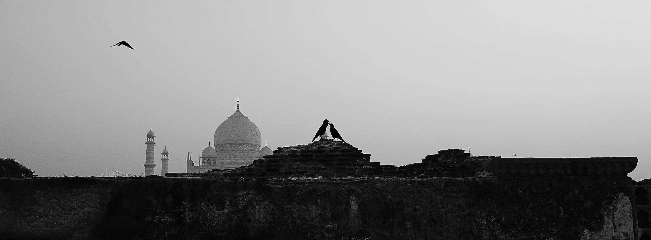 Agra Website -1-13.jpg