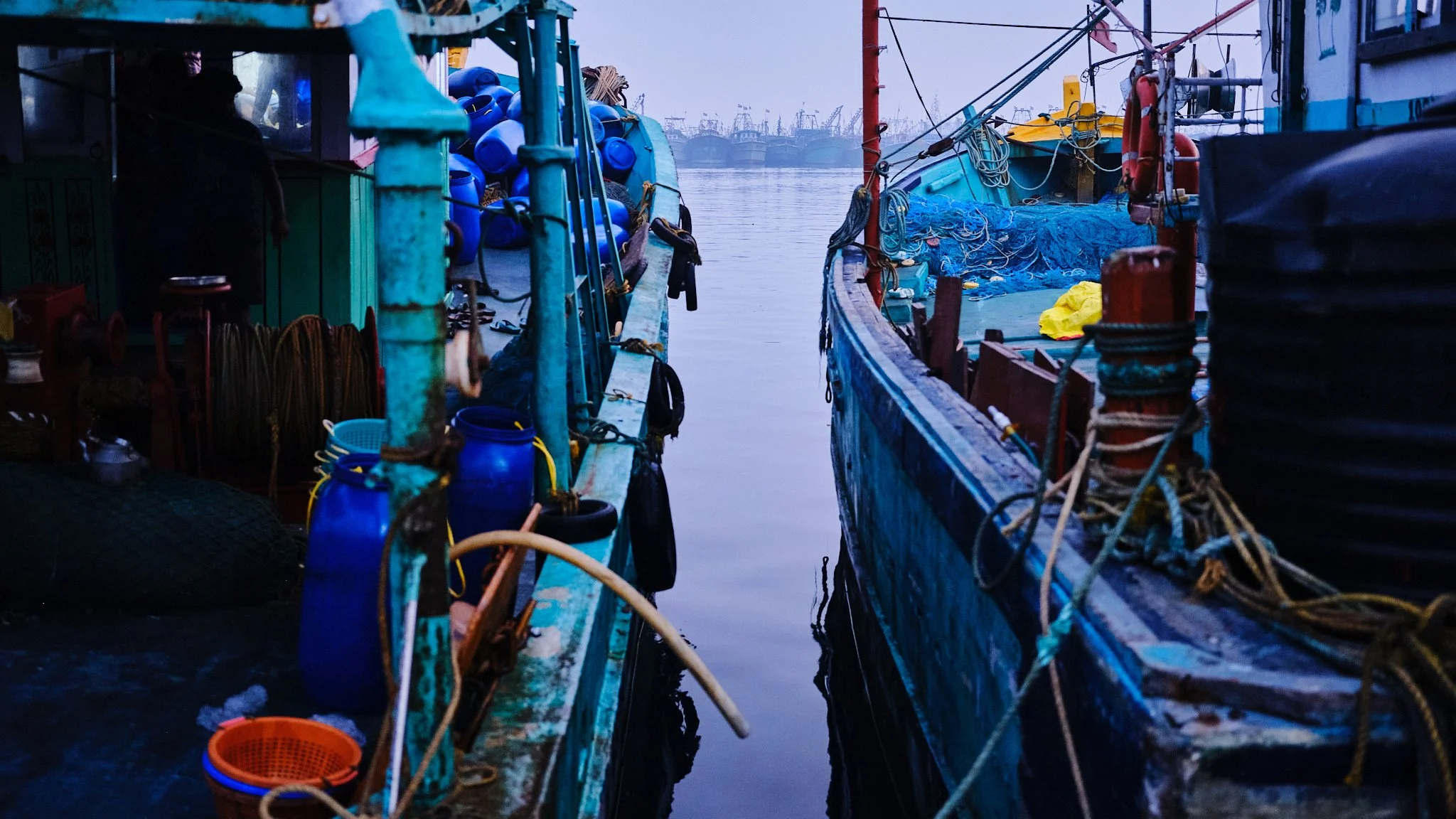 chennai fish market 27.jpg