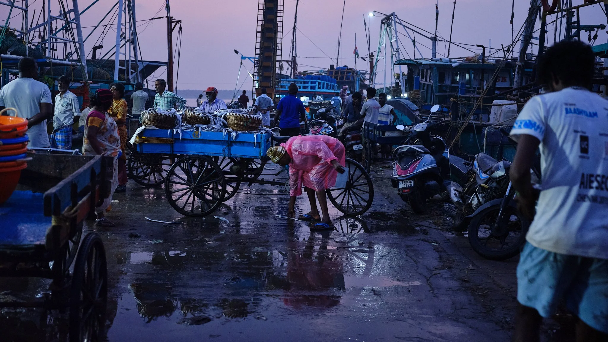 chennai fish market 34.jpg