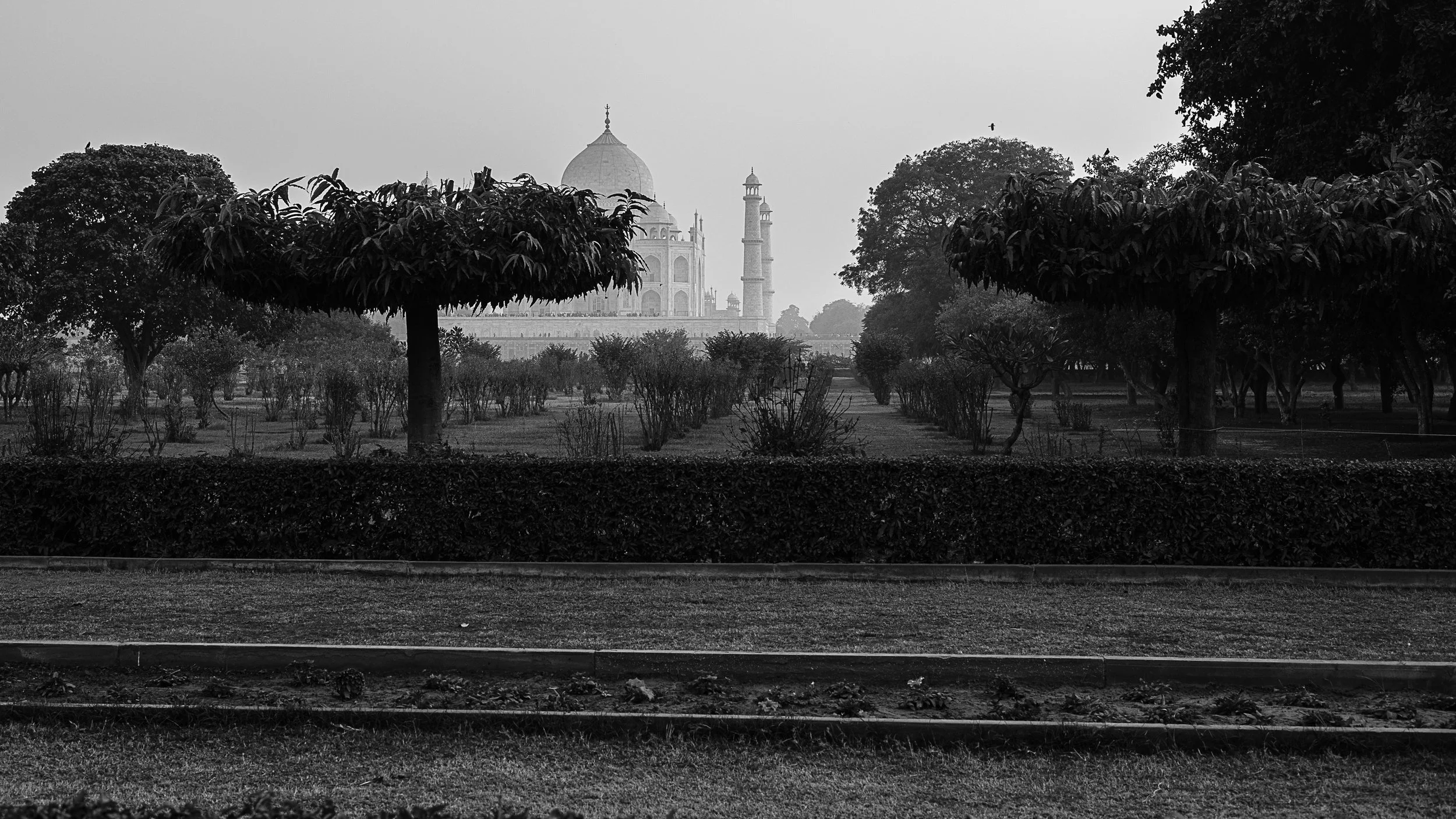 Agra Website -1-12.jpg