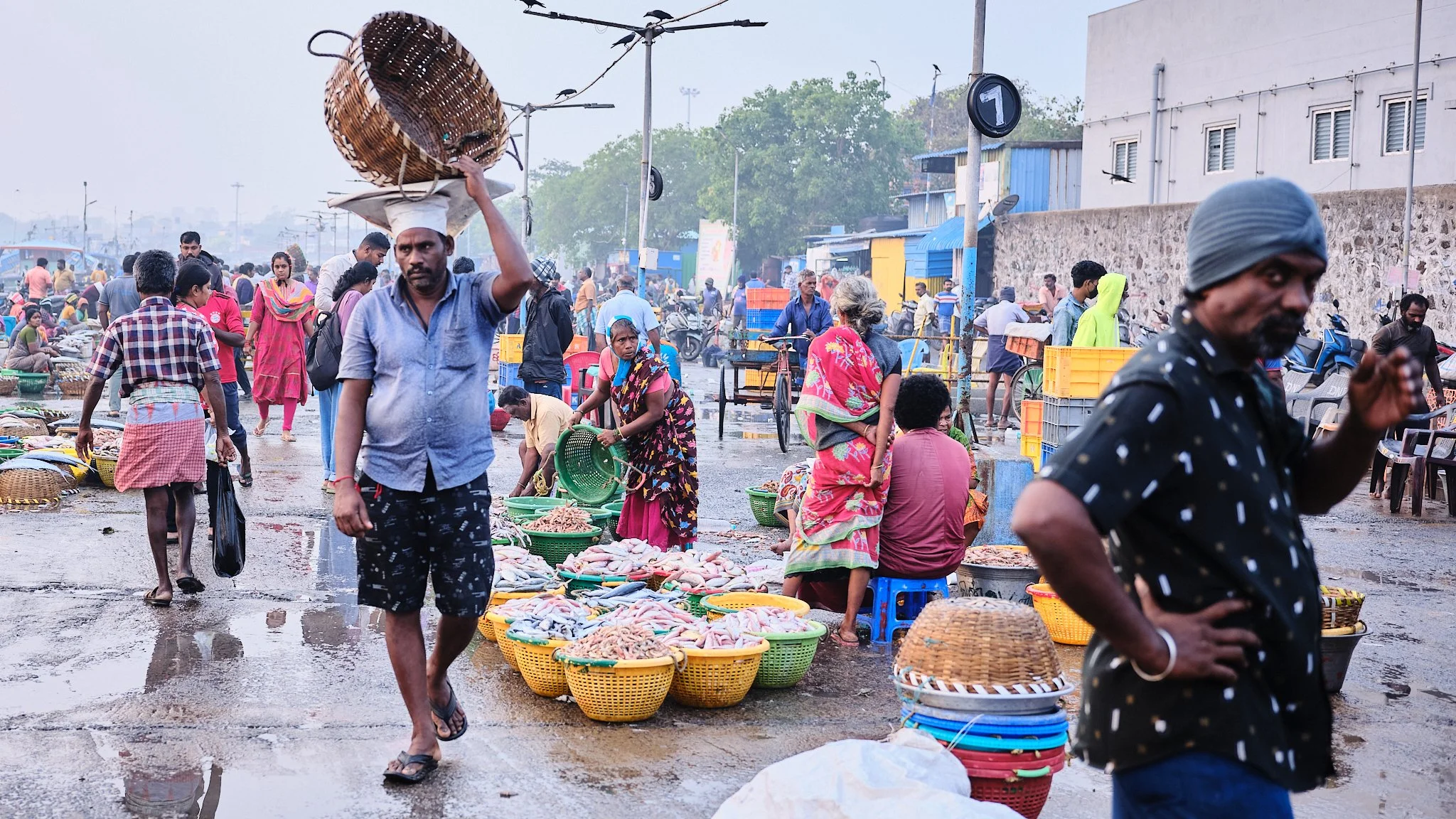 chennai fish market 4.jpg