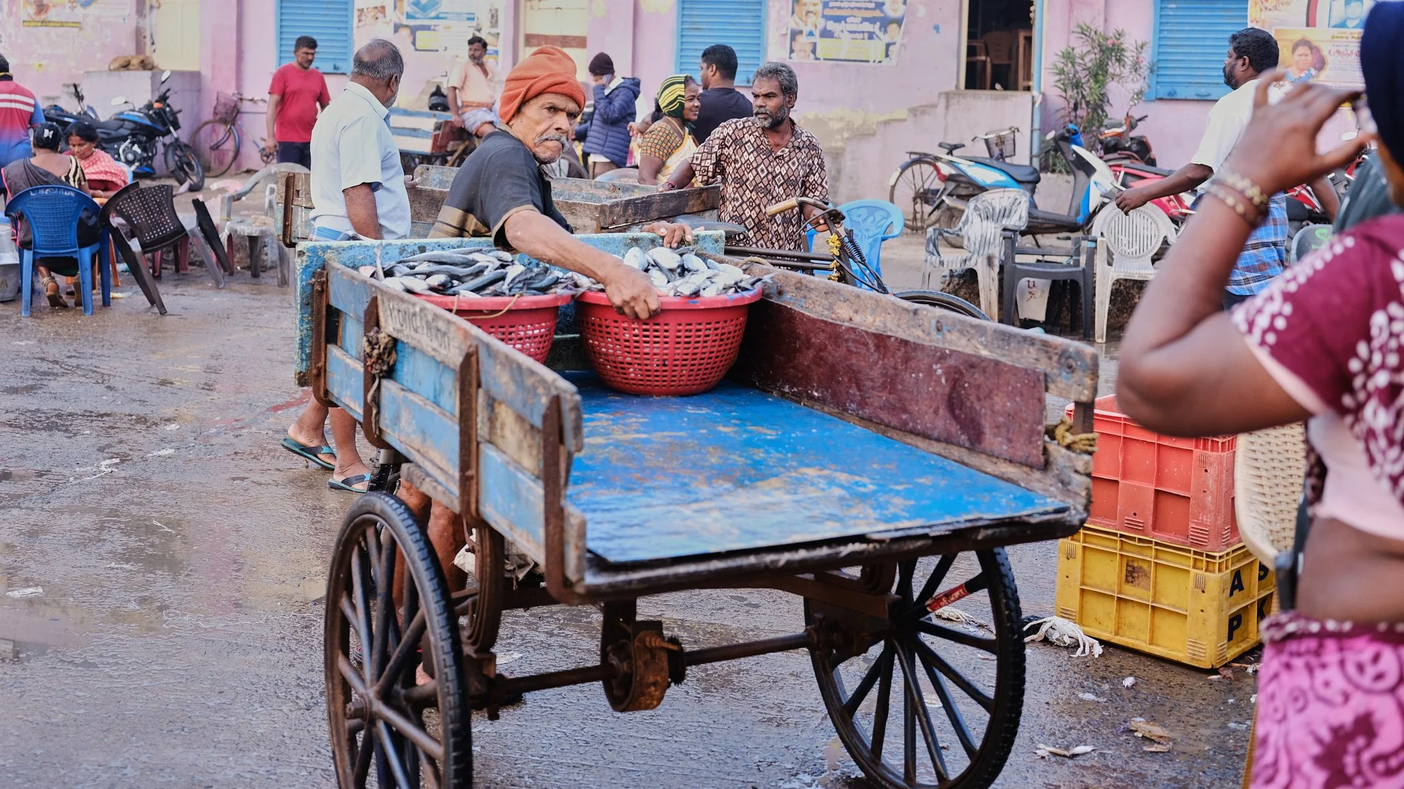 chennai fish market 6.jpg
