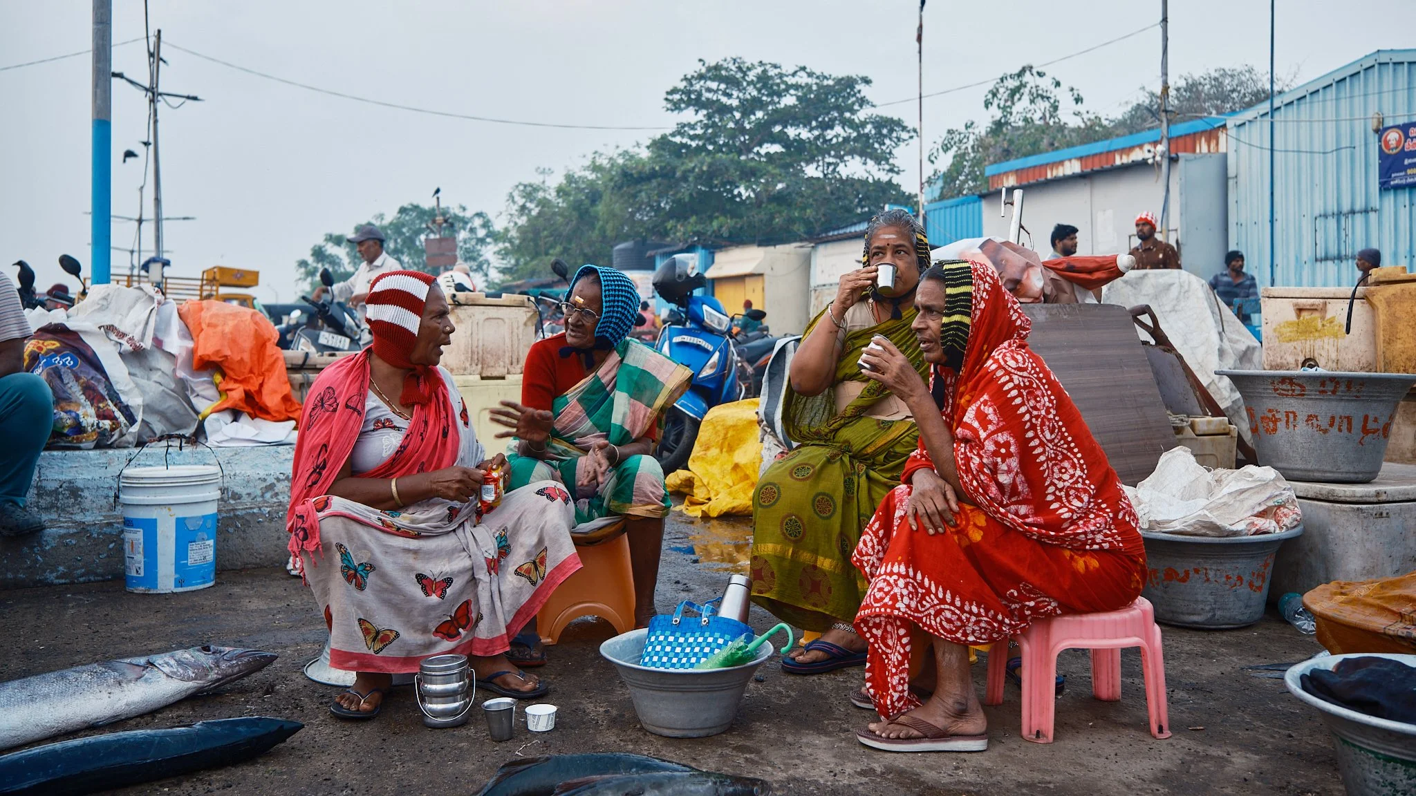 chennai fish market 35.jpg