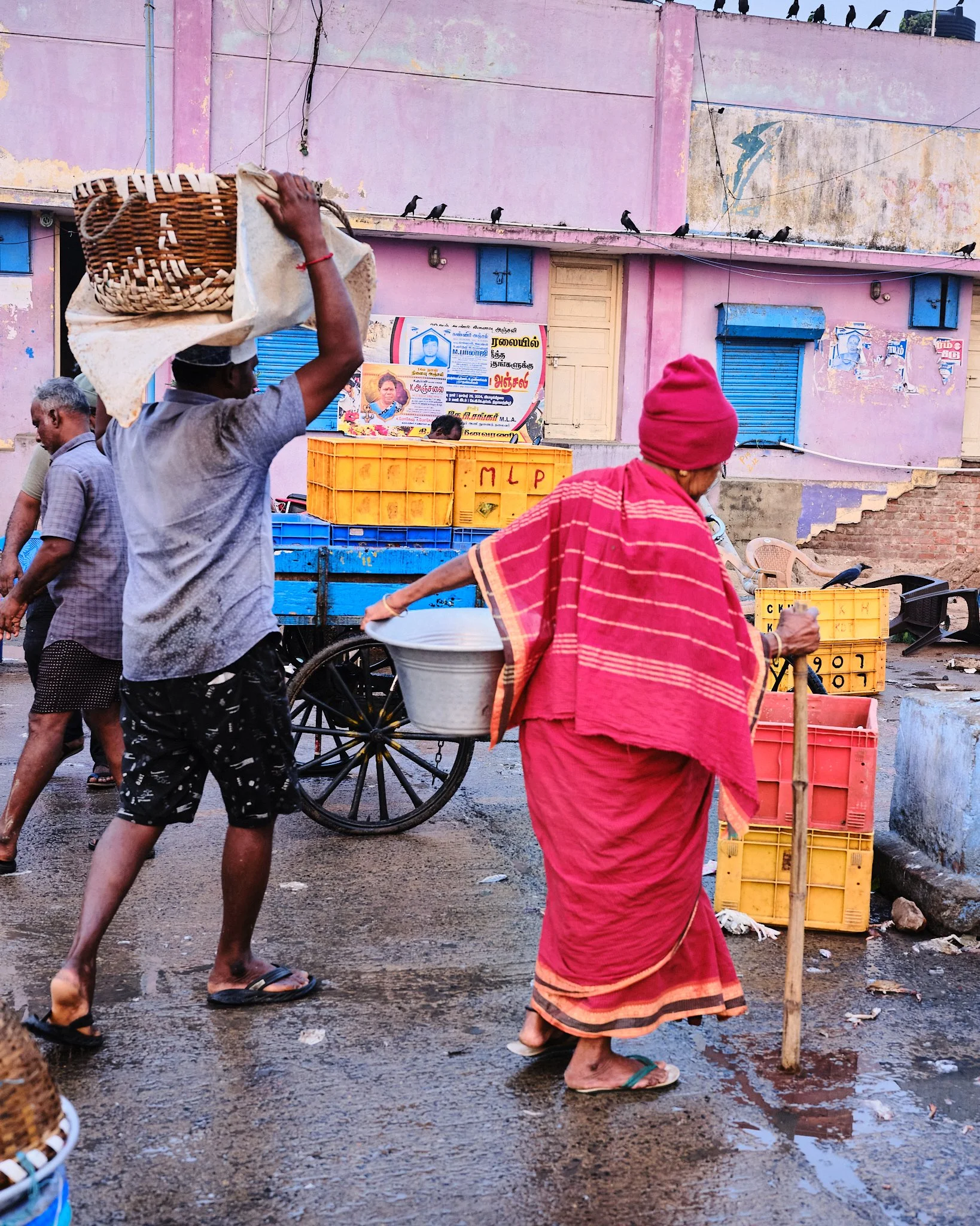 chennai fish market 14.jpg