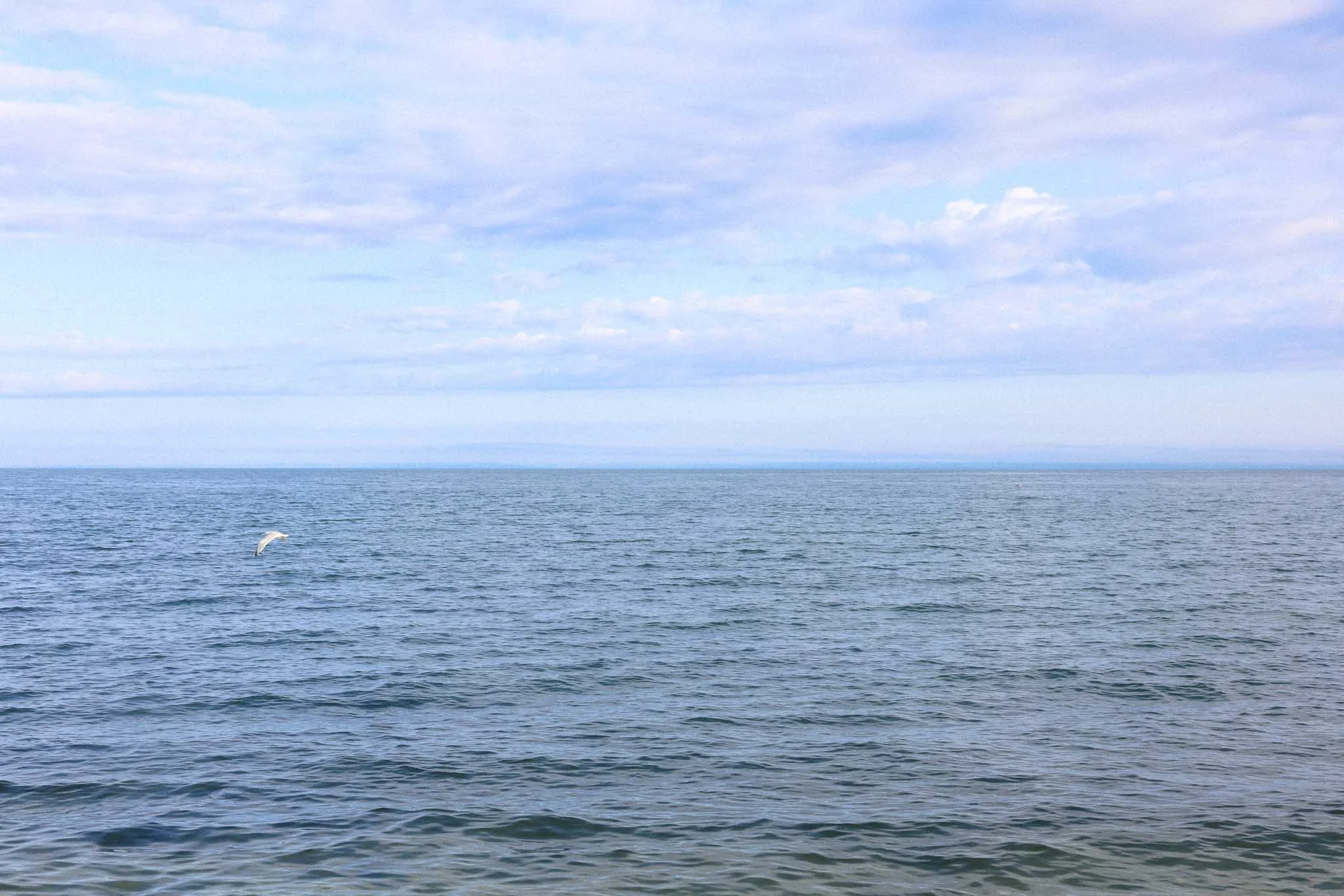 North Fork-012.jpg