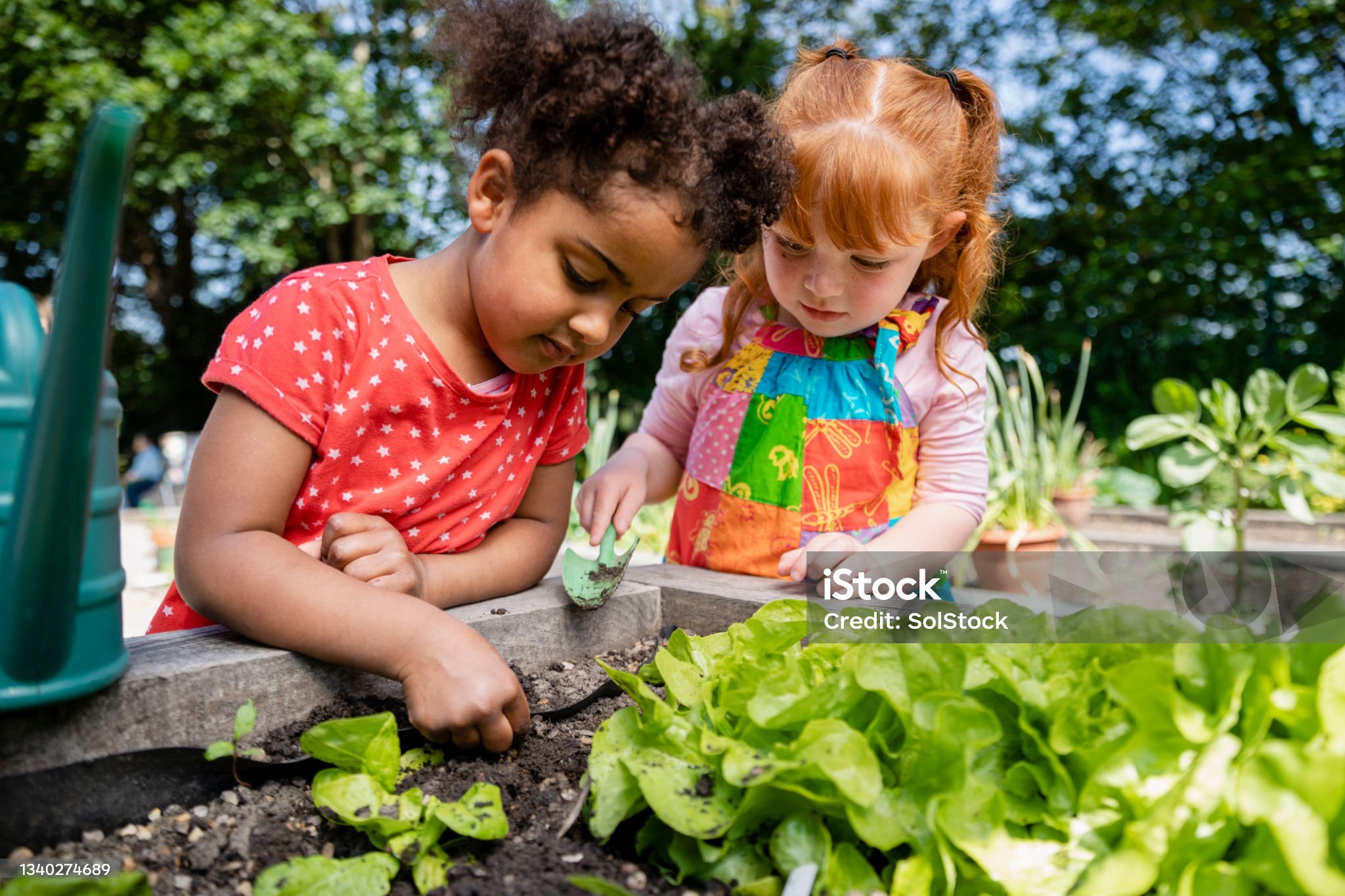 CHEP Sprouts Garden Day Camp