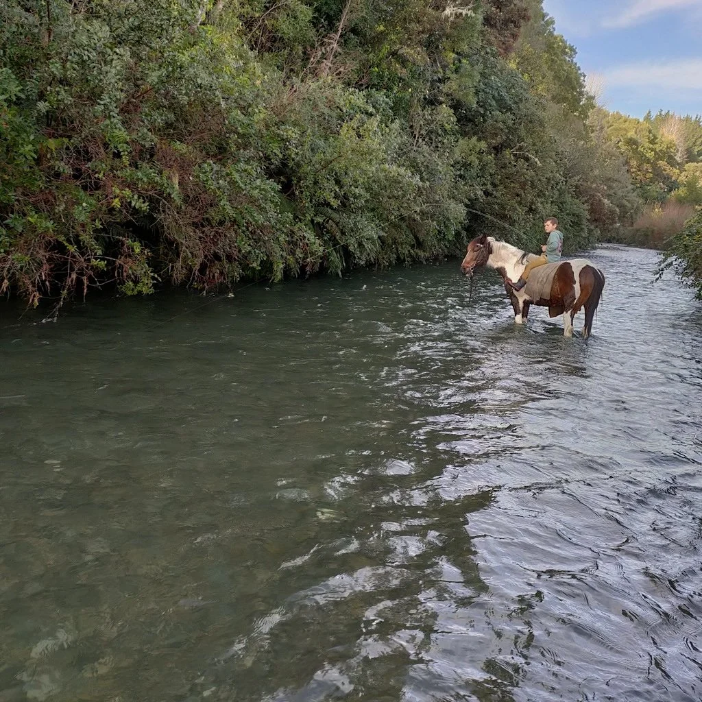 A person riding a horse with a fly rod in a shallow river, with dense green trees on the riverbank in the background.