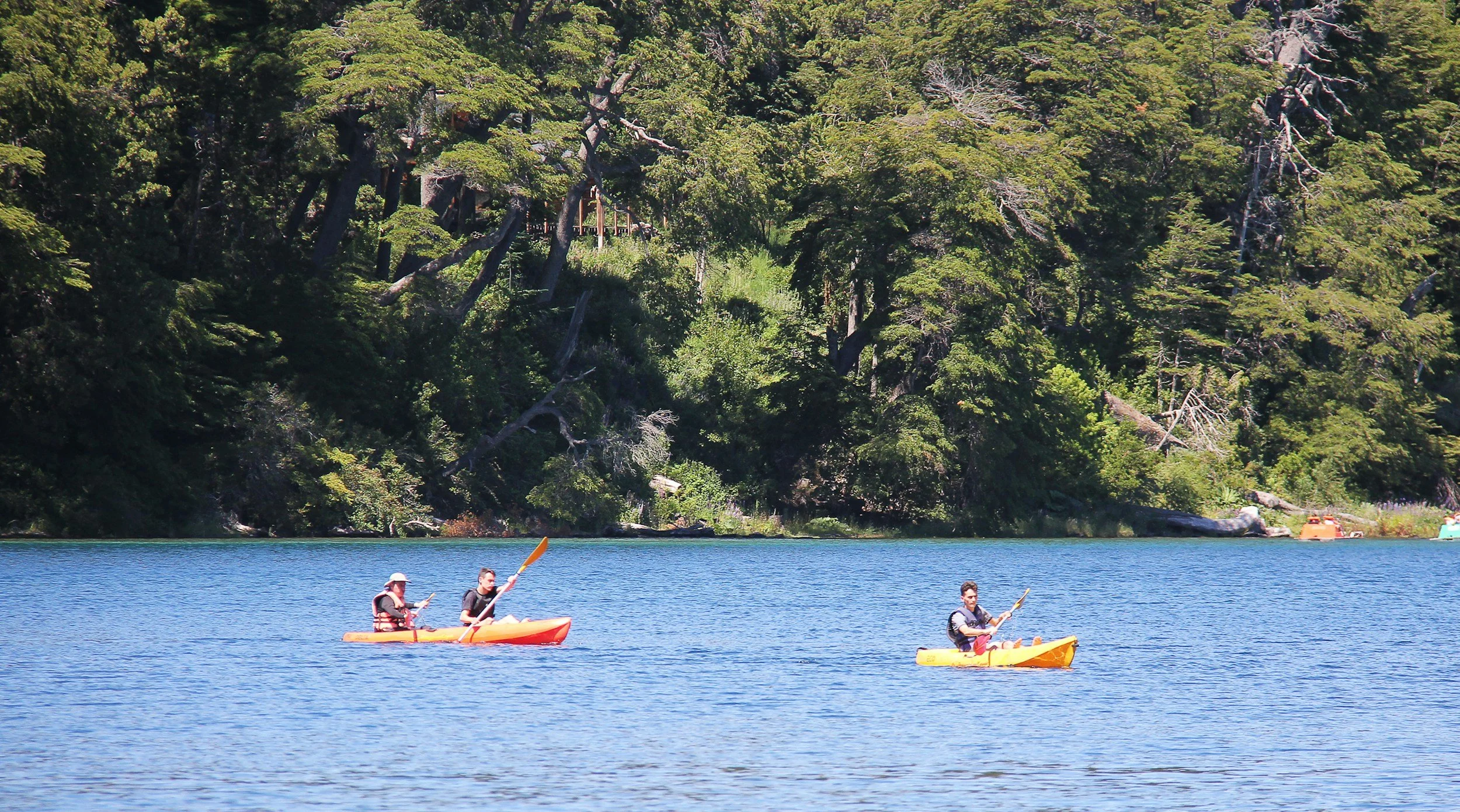 Three people kayaking on a lake with a forested shoreline in the background.