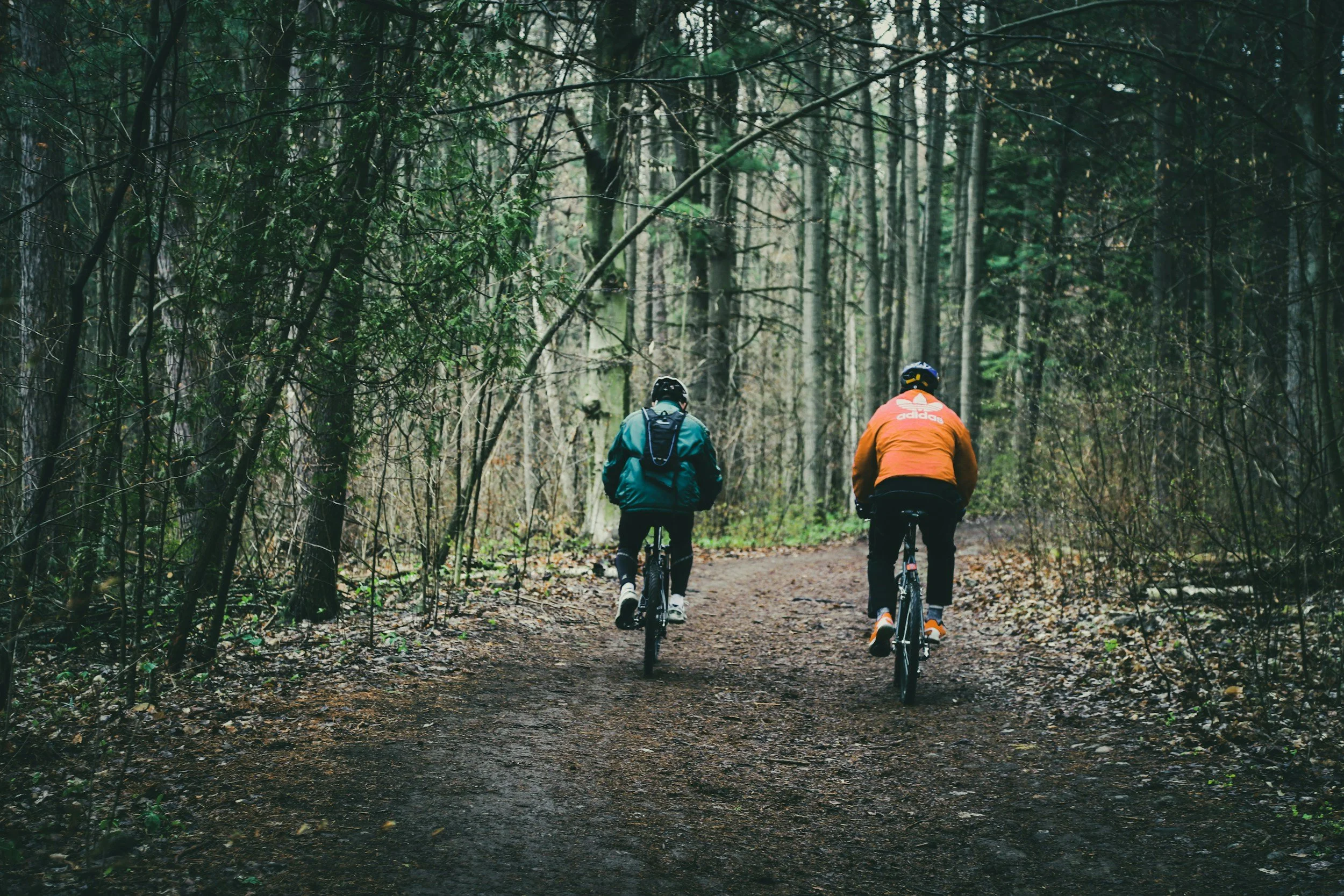 Two people riding bicycles on a dirt trail through a dense forest during daytime.