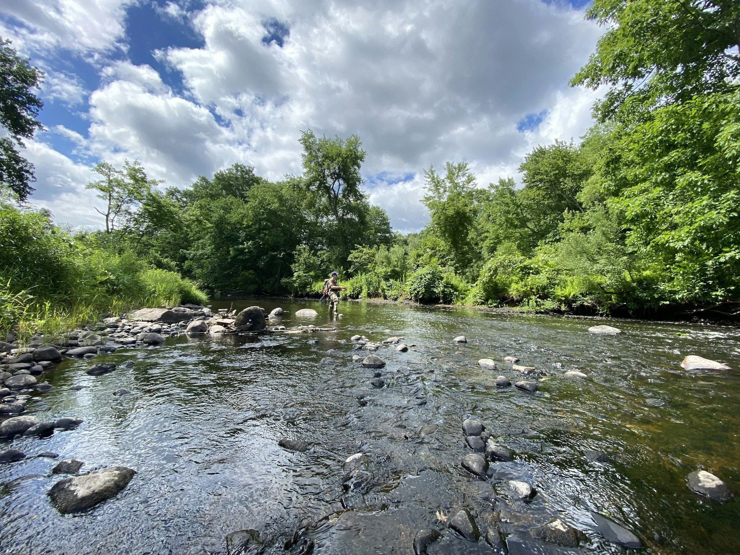 A person fishing in a river surrounded by lush green trees under a partly cloudy sky.