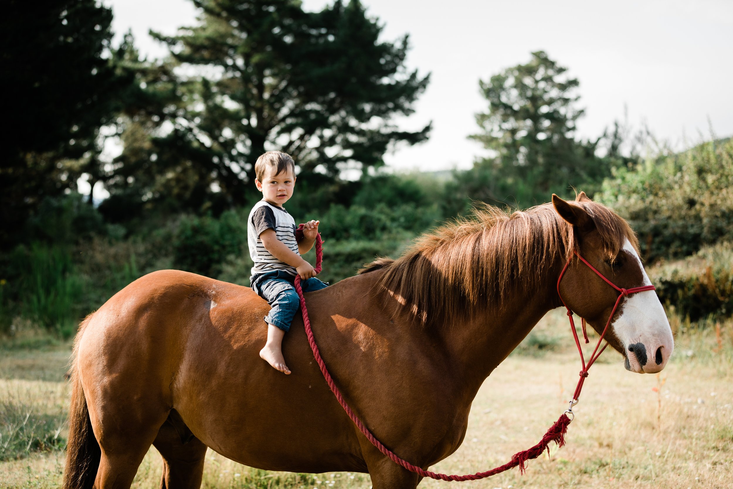 A young boy with short brown hair, wearing a striped t-shirt and jeans, rides a chestnut-colored horse without shoes in an outdoor setting with green trees and grass.