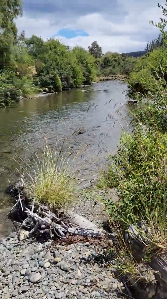 A peaceful river flowing through a lush, green landscape with trees and bushes on the banks, under a partly cloudy sky.