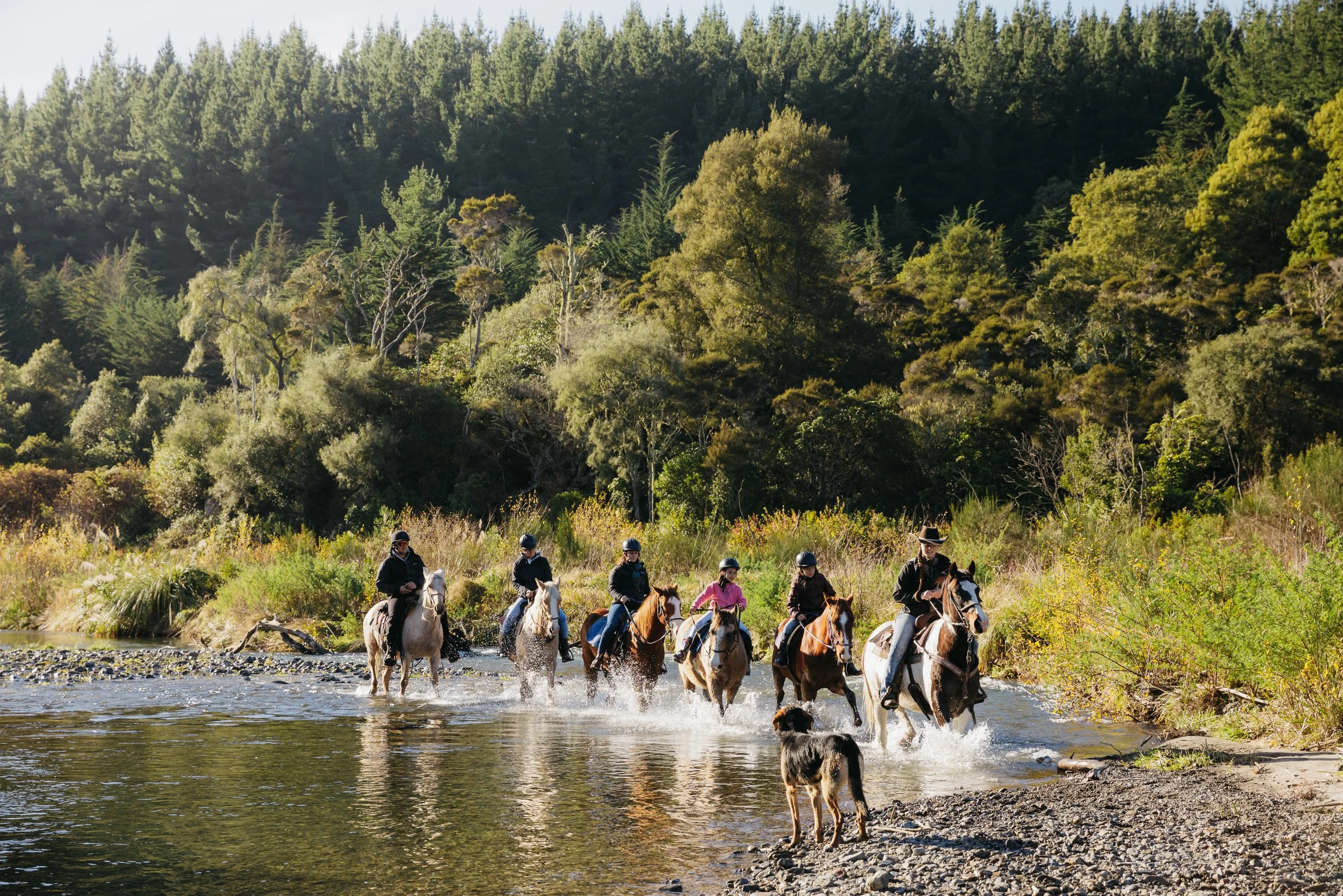 Six people riding horses across a shallow river in a forested area, with a dog standing by the riverbank in the foreground.