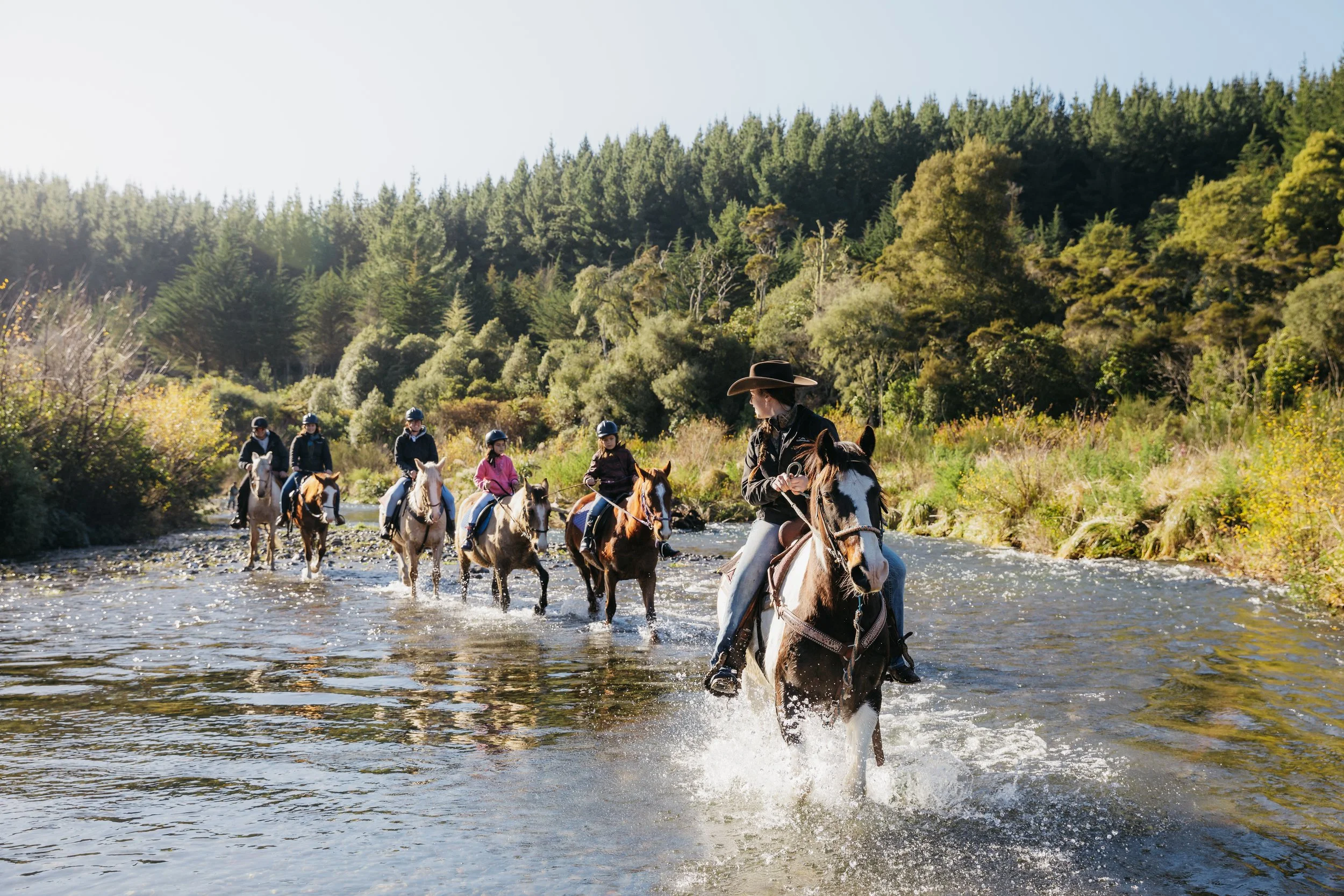 Six people riding horses through a shallow river in a forested area on a sunny day.