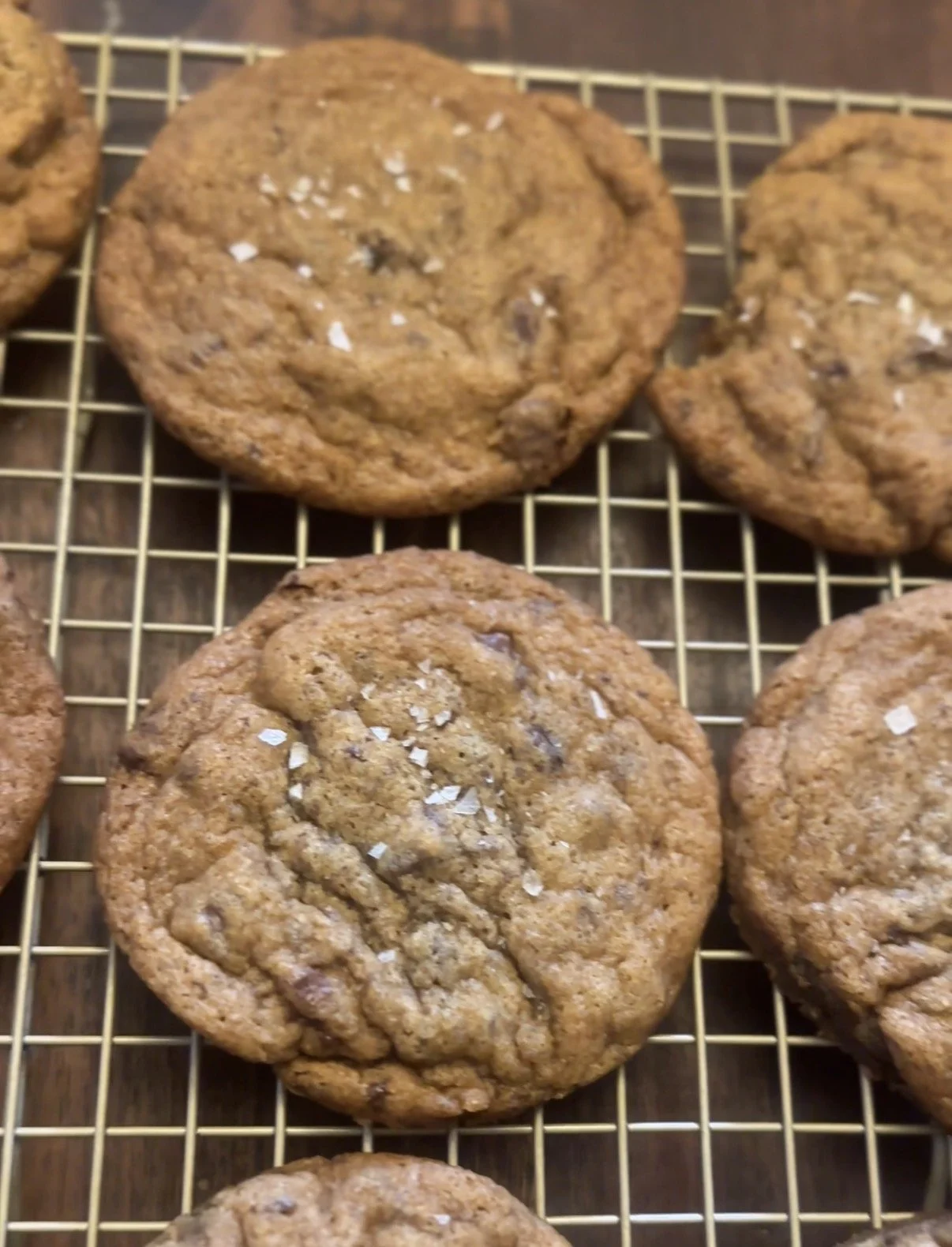 Brown Butter Chocolate Chip Cookies