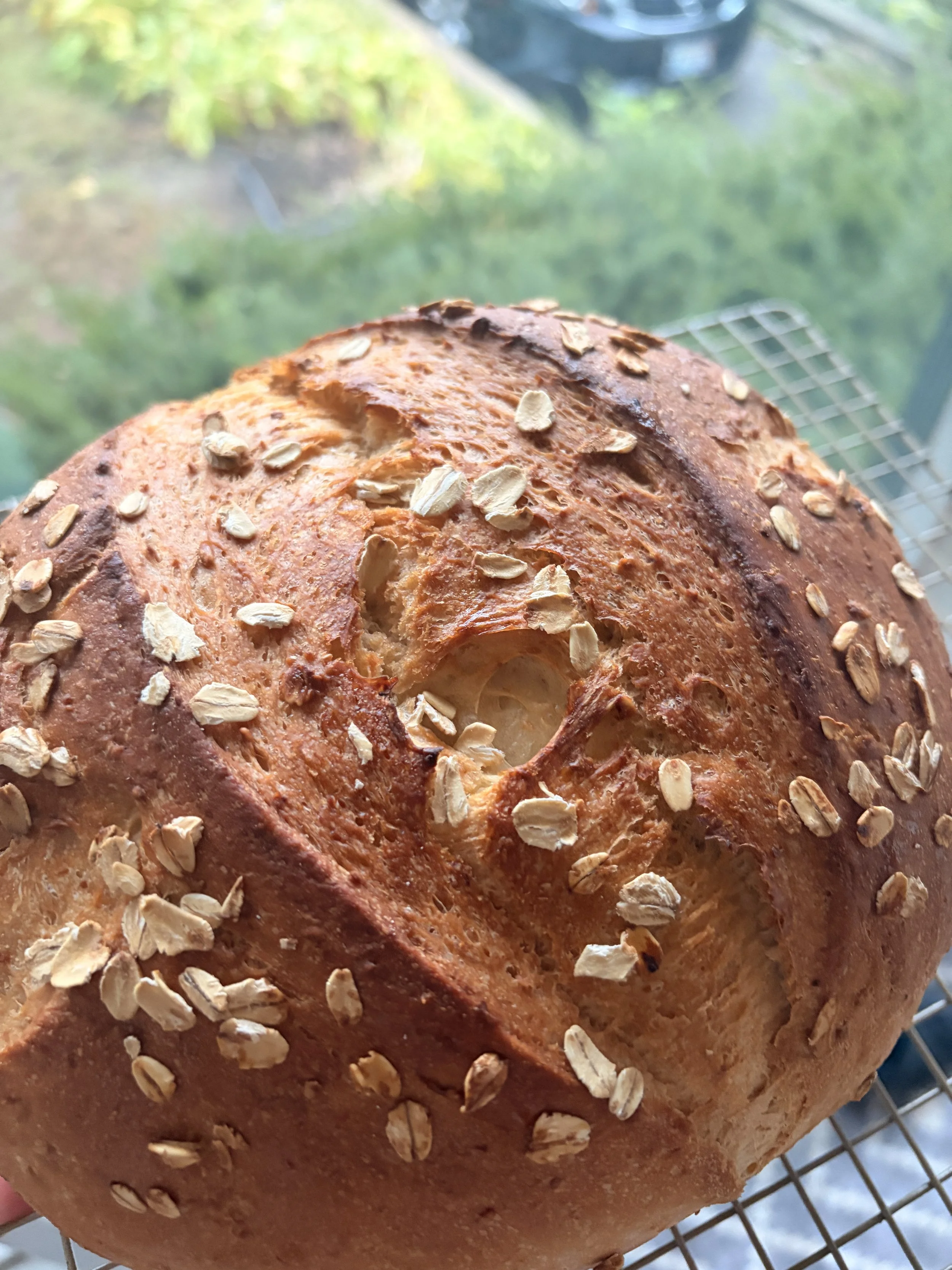 Honey Oat Artisan Bread