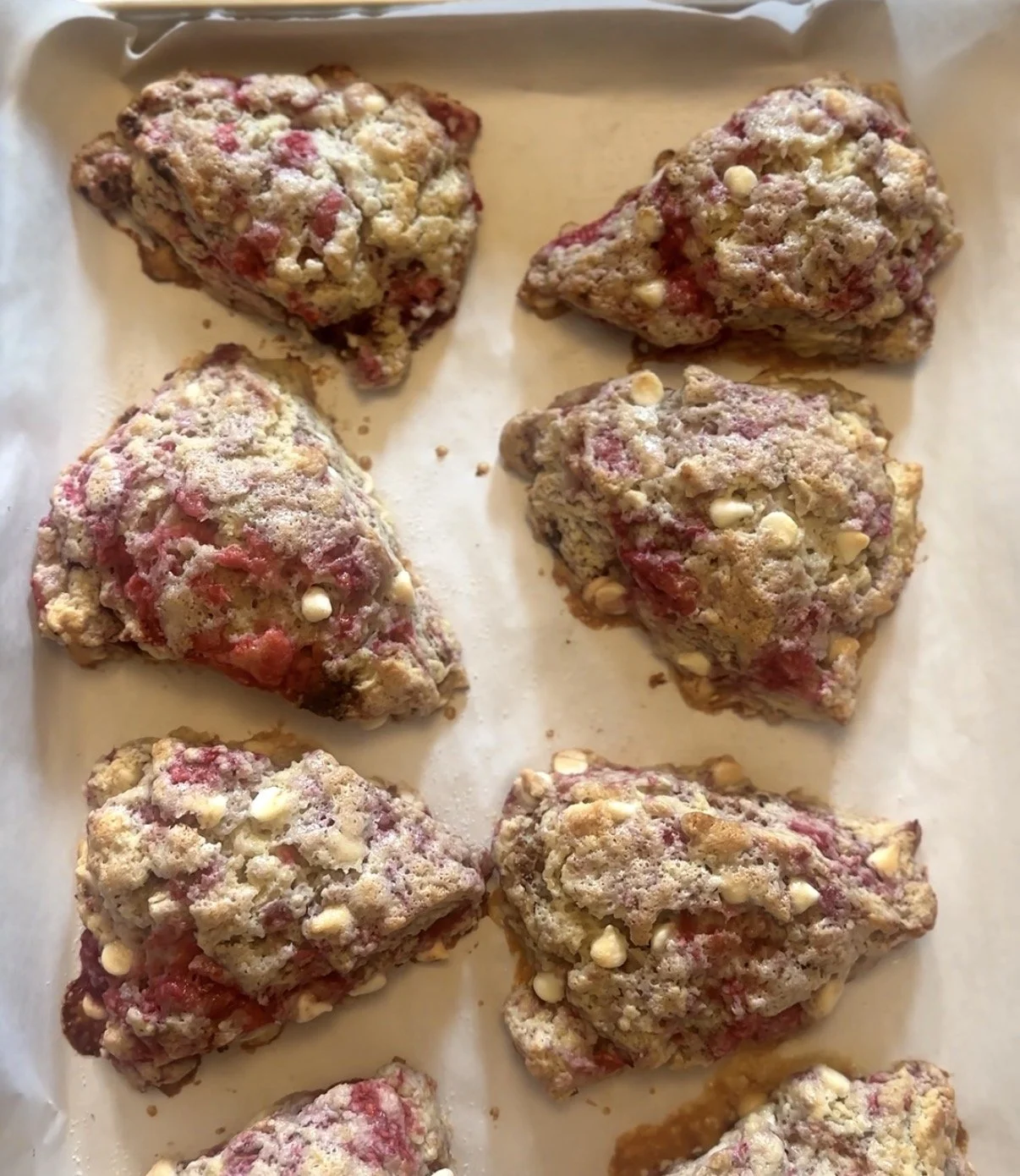 Baked strawberry and white chocolate scones on a parchment-lined baking sheet.