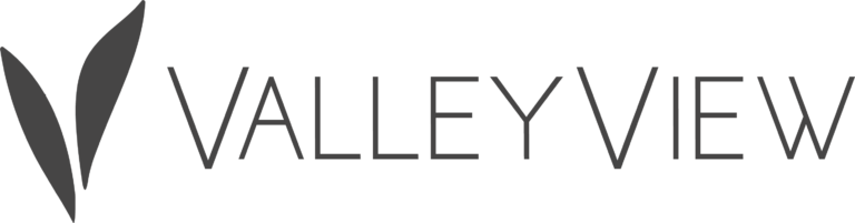 Valley View logo with stylized V and text