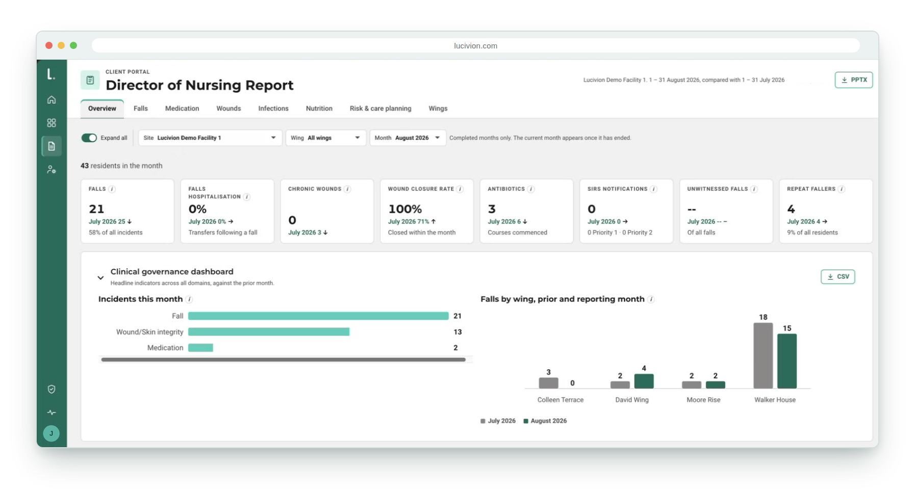 Director of Nursing report overview, sample data