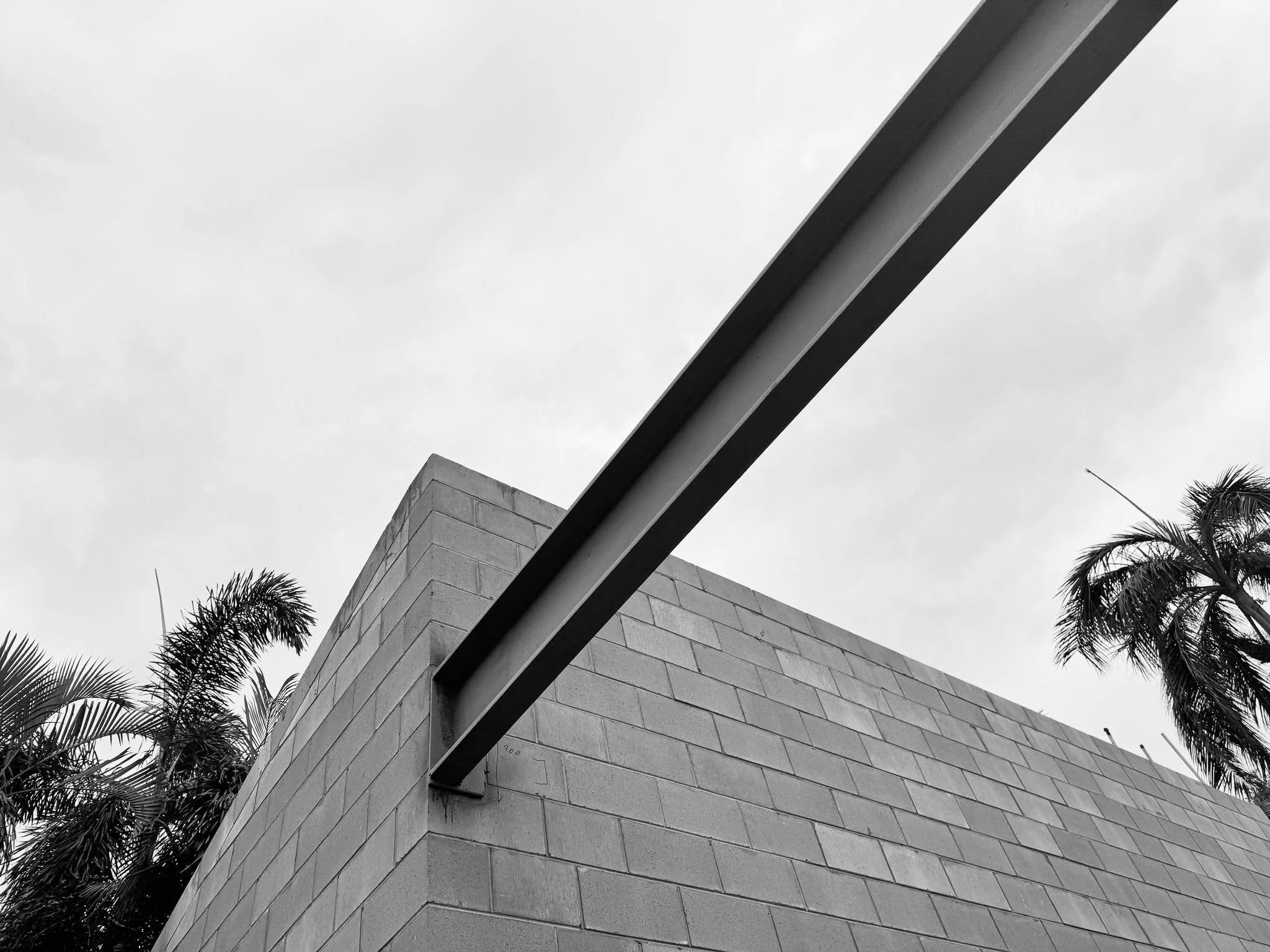 Black and white photo of a brick wall with a metal beam extending diagonally from the top corner, surrounding palm trees and an overcast sky.