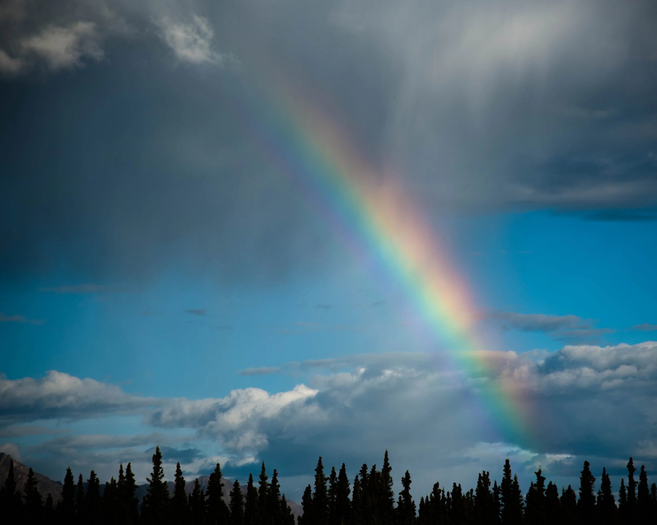 15-Minute Intuitive Energy & Card Reading